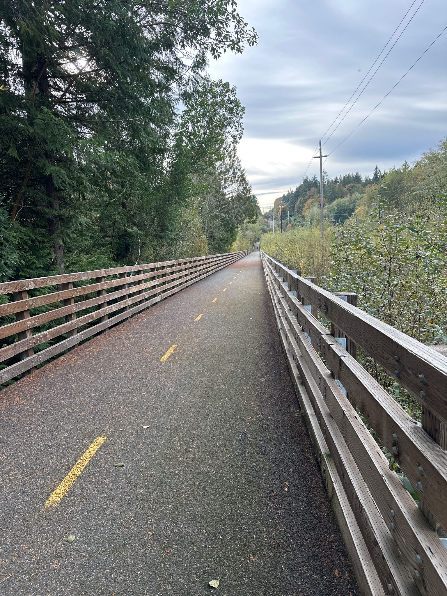 Paved path with wooden railings through a forest under an overcast sky. - Cushman Trail
