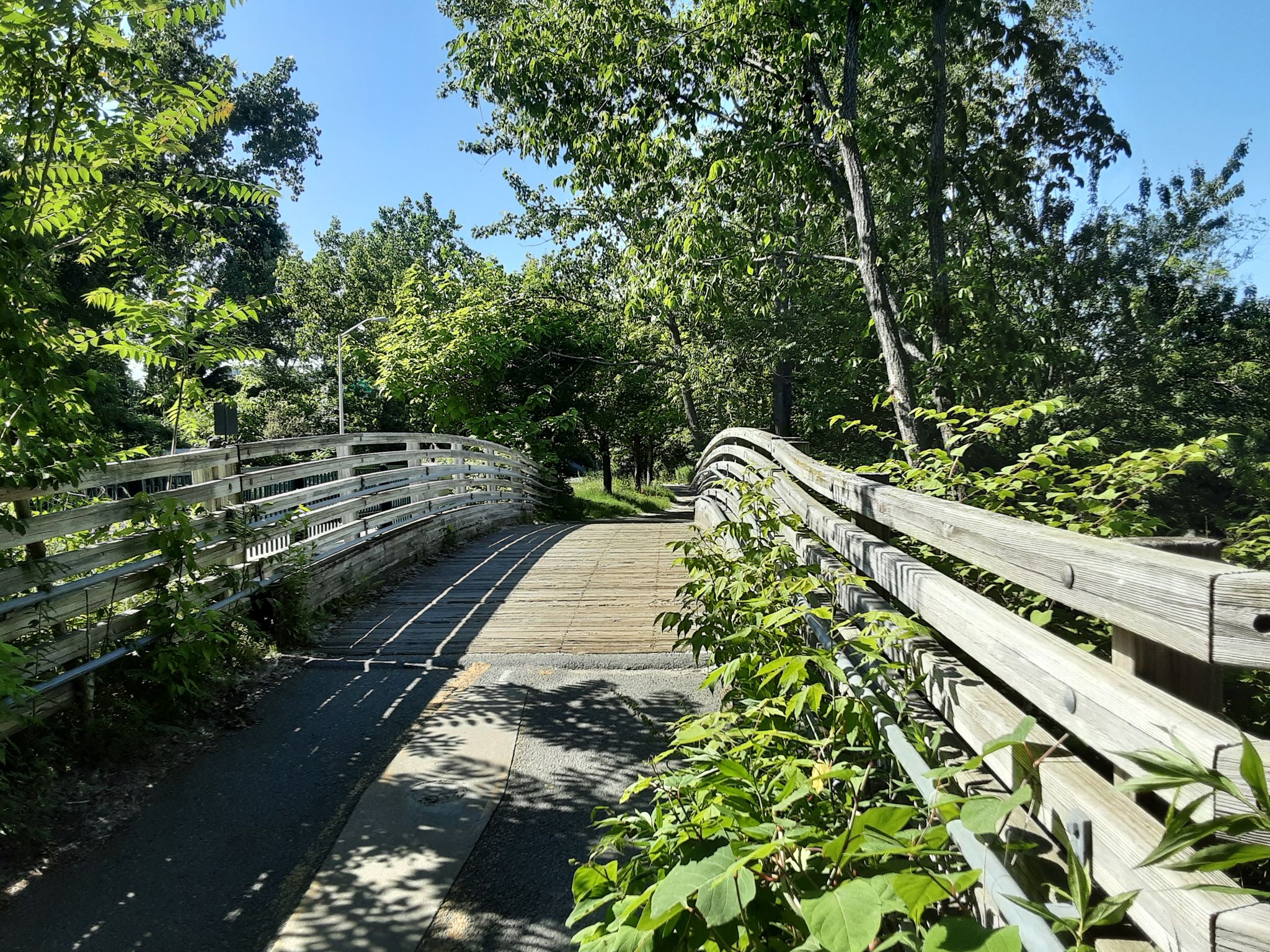 Paved path leading to a wooden bridge, surrounded by lush green trees and sunlight. - Alewife Brook Reservation – Alewife Brook Reservation loop from Alewife Brook Reservation