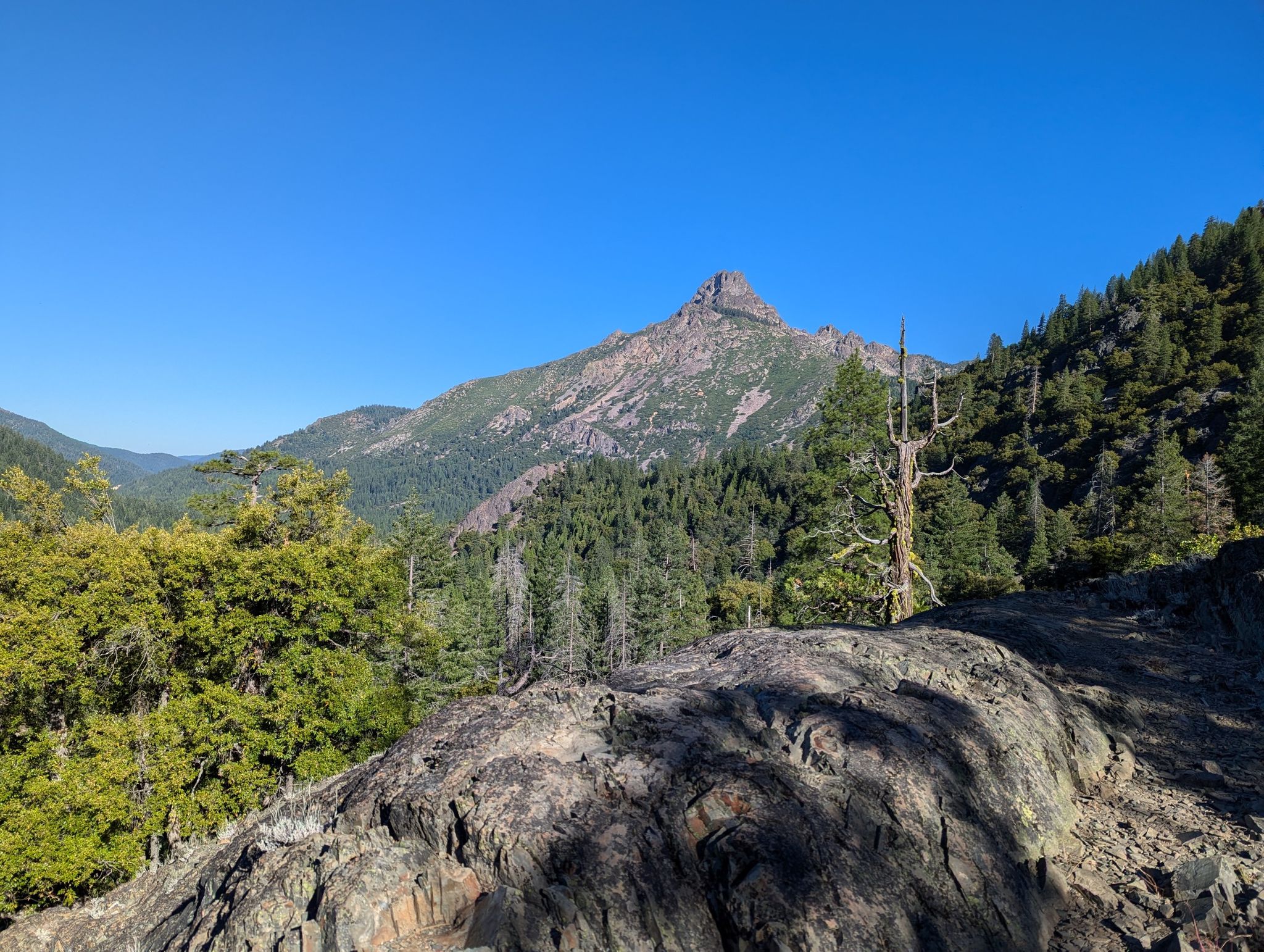 Jagged mountain peak overlooks a vast forest under a clear blue sky. - Wild Plum and Pacific Crest Trail Loop