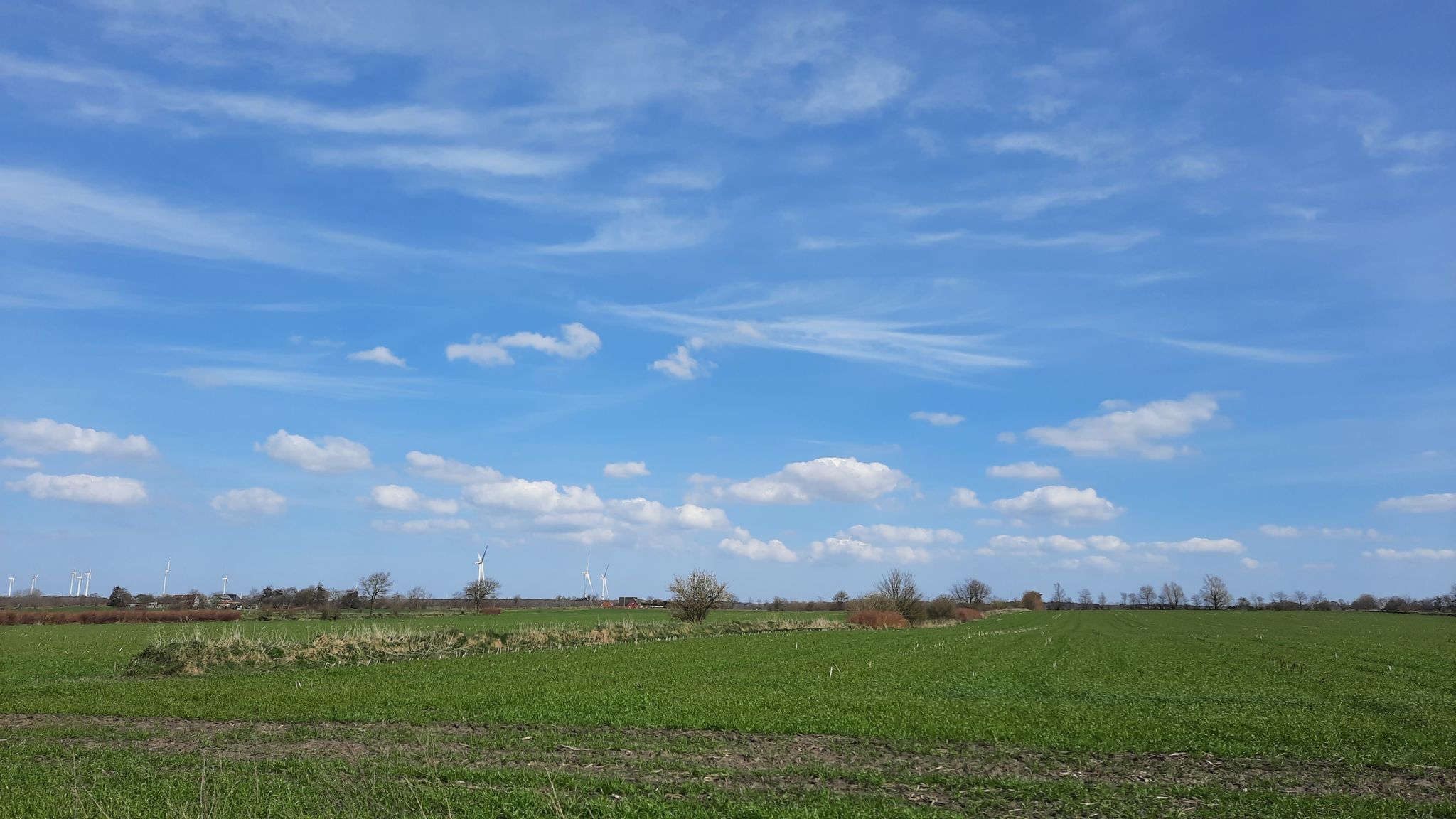 Landschaft hinter Löwenstedt