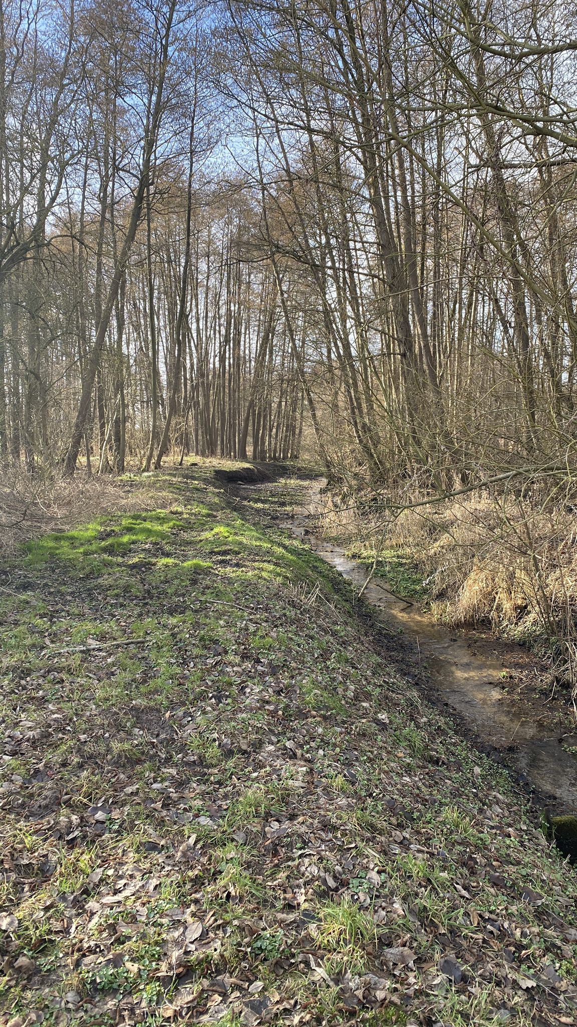 an der Bullermühle in Jatznick