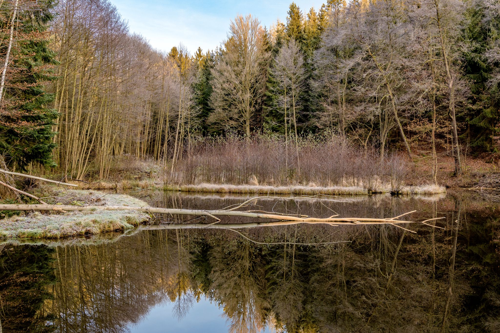 Die Bockmühlenteiche Nähe Schleifeisen