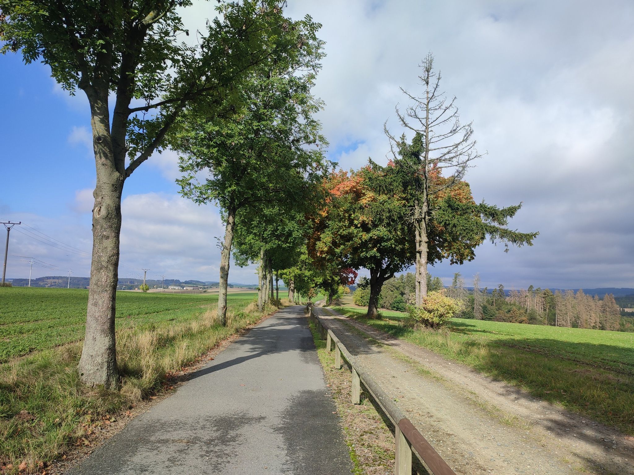 herbstliche Stimmung, schöner Radweg