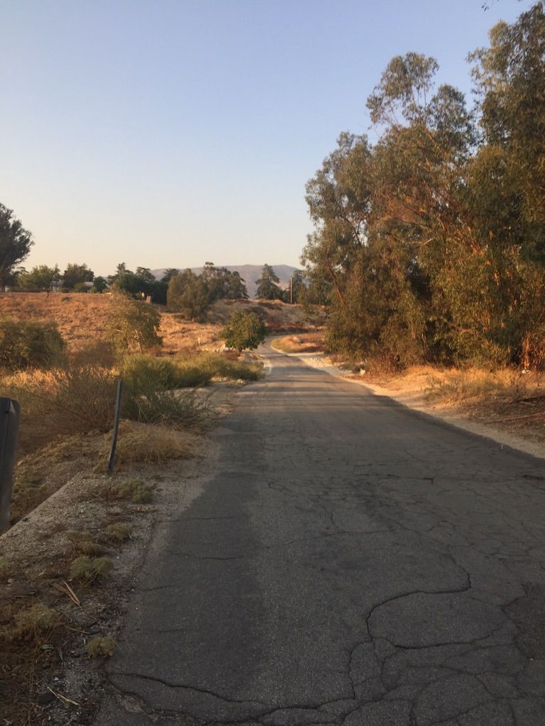 Cracked paved road winding through dry brush and trees, mountains in the distance. - Duck Pond loop from Cherry Valley Peak