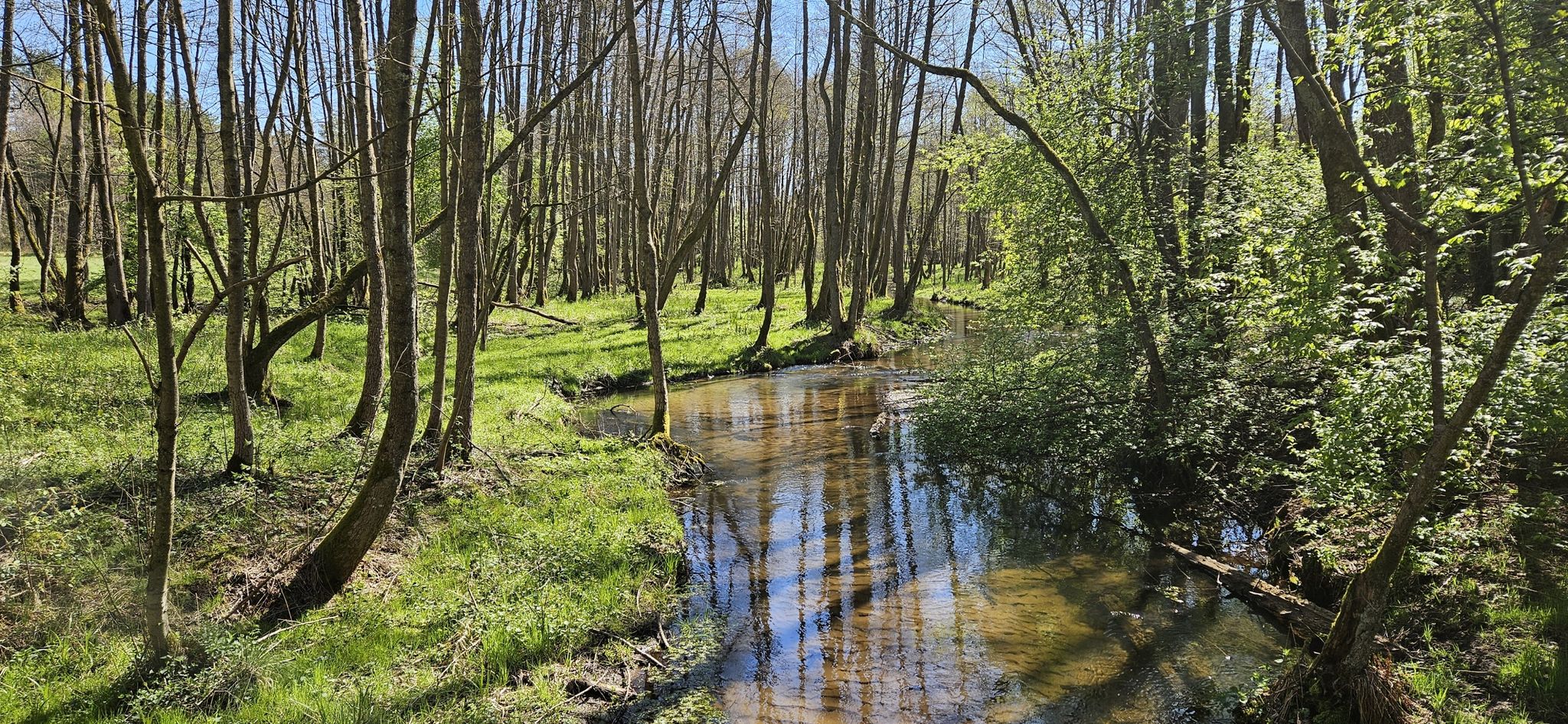 beautiful stream