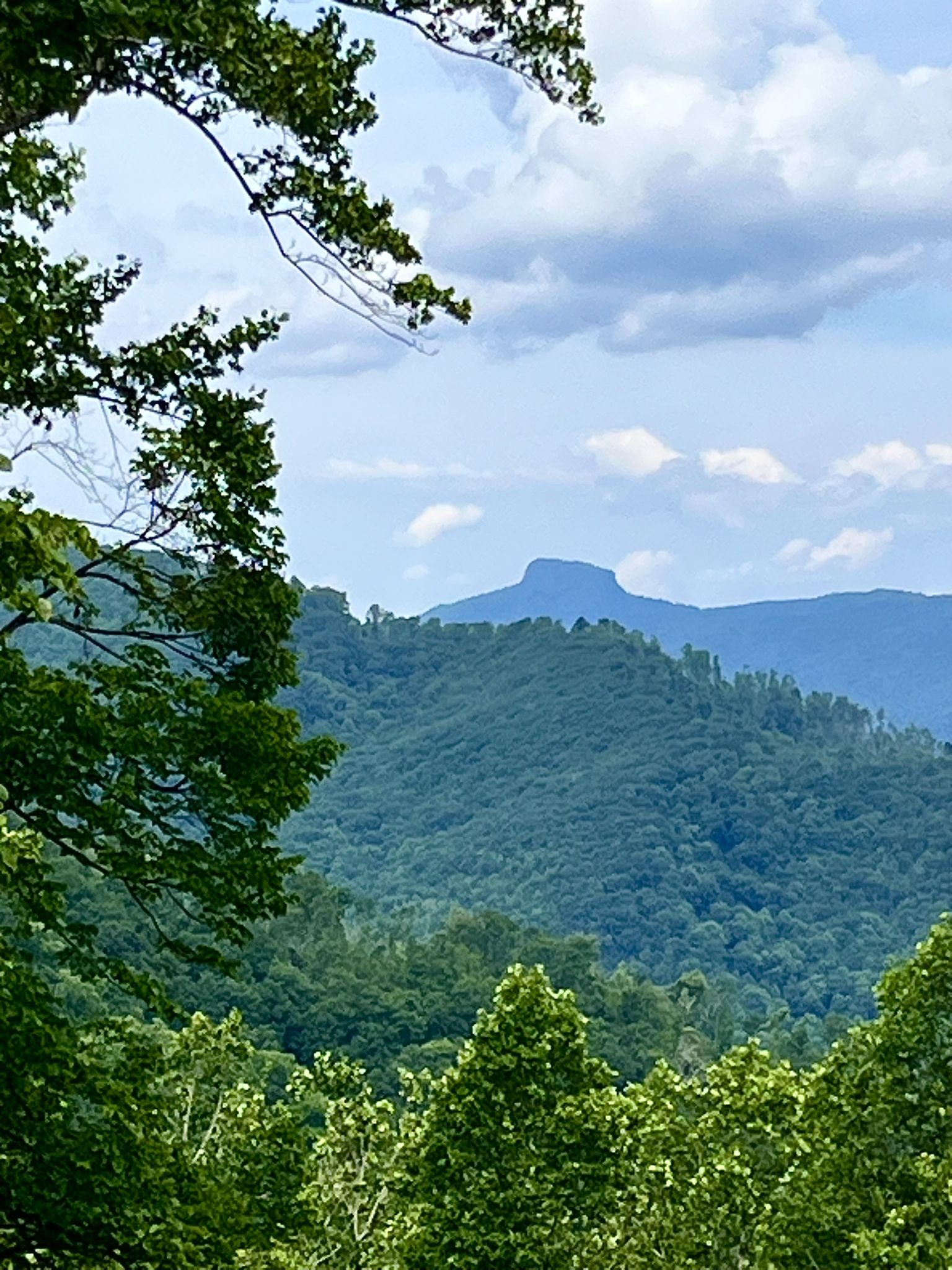 Distant mountain peak rises above lush green forested hills under a bright sky. - Mountains to Sea Trail