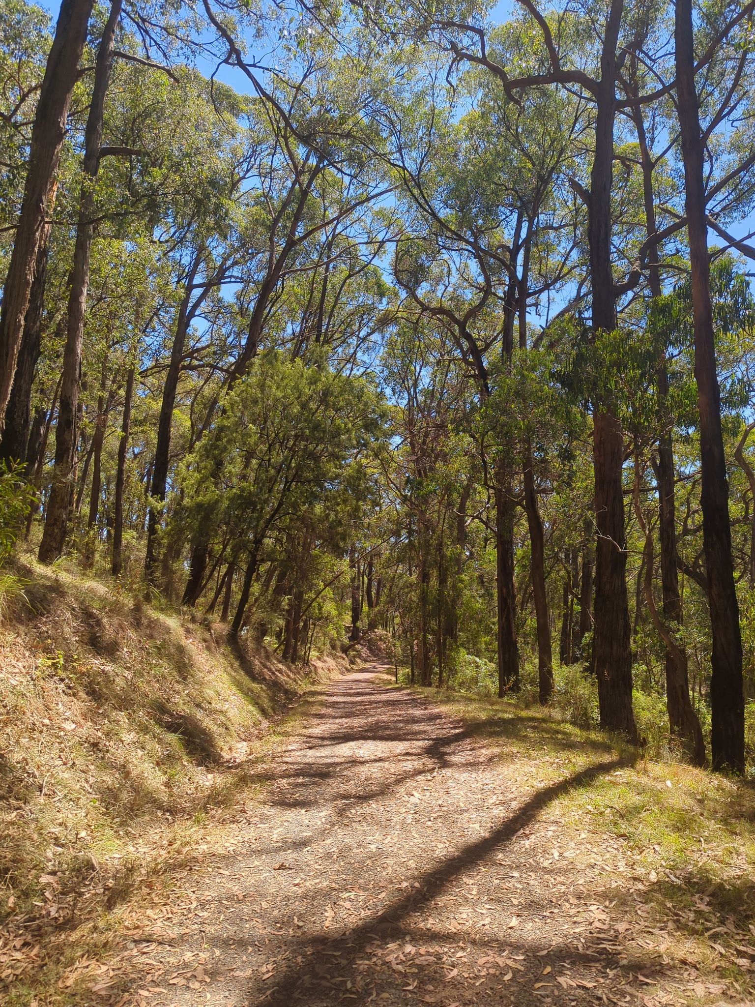 Nice walk