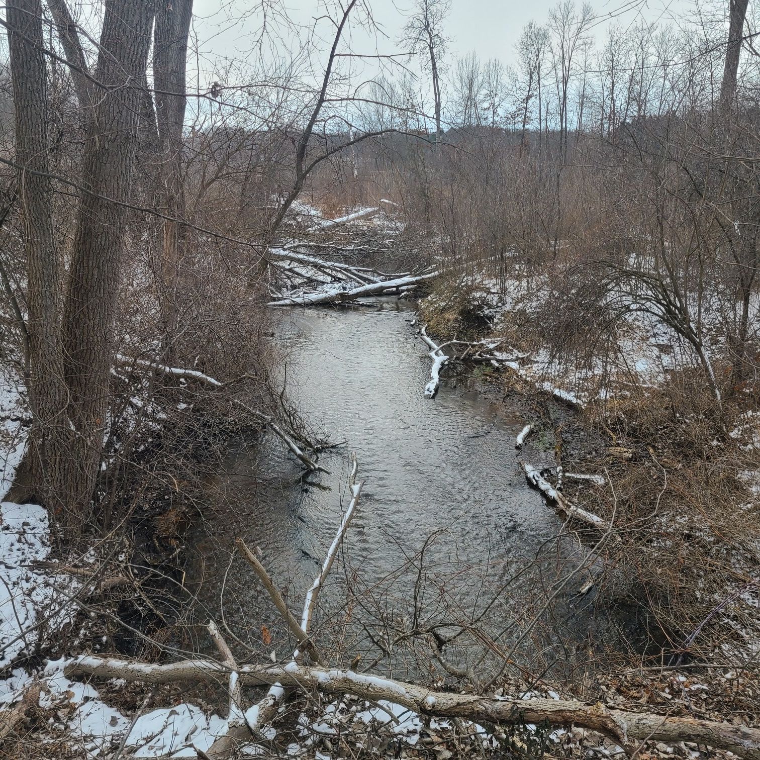Narrow river in snowy woods with fallen trees under overcast sky. - Fort Custer Green and Red Trail Loop
