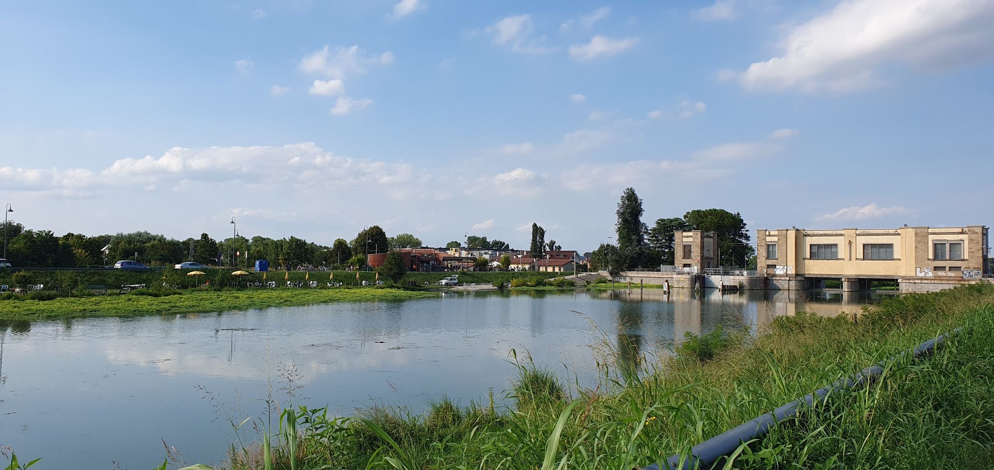 Nutrie