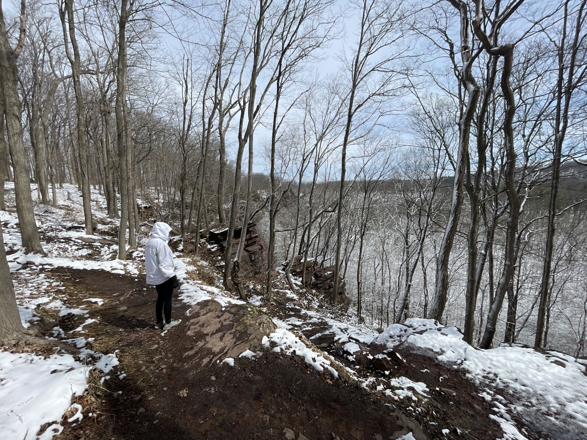 Person in white jacket on a snowy trail overlooking a bare winter forest. - View of Tohickon Creek – Tohickon Valley Park loop from High Rocks Vista