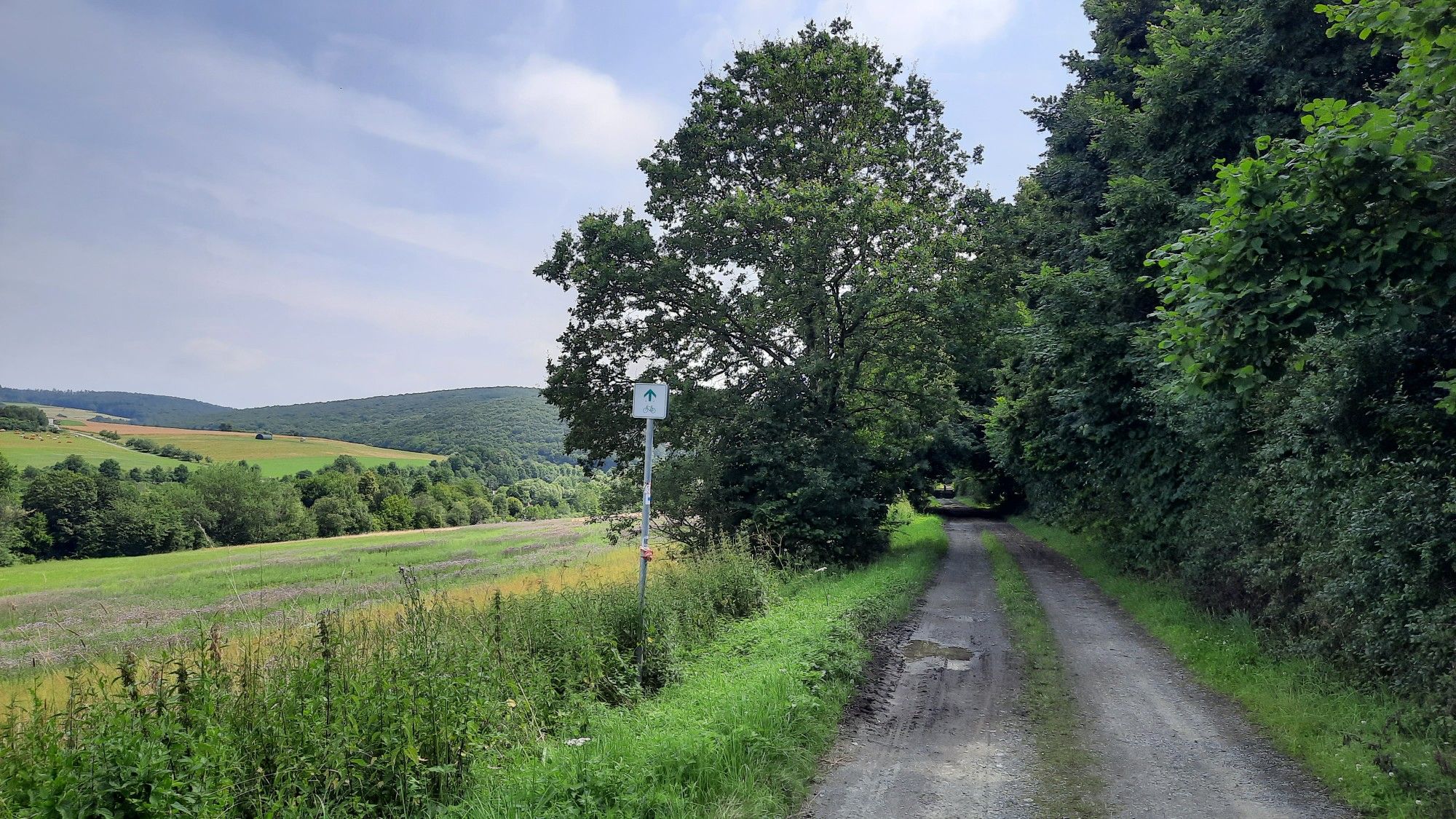 Bodenroder Weg