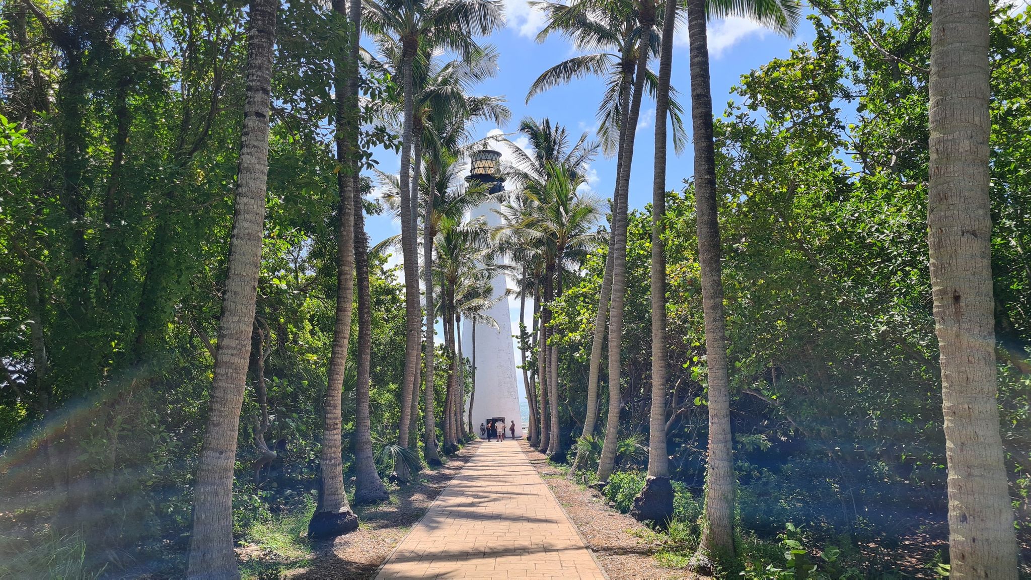 A paved path leads to a white lighthouse, lined with tall palm trees. - Cape Florida Lighthouse – Cape Florida Lighthouse loop from Key Biscayne