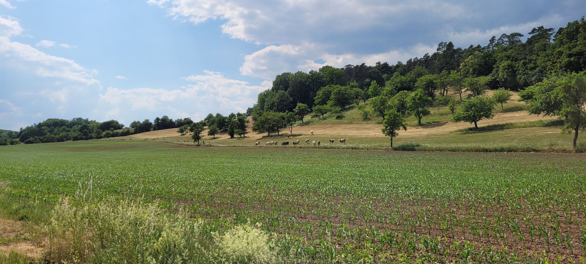 Nochmal Idylle bei Schmaldingens