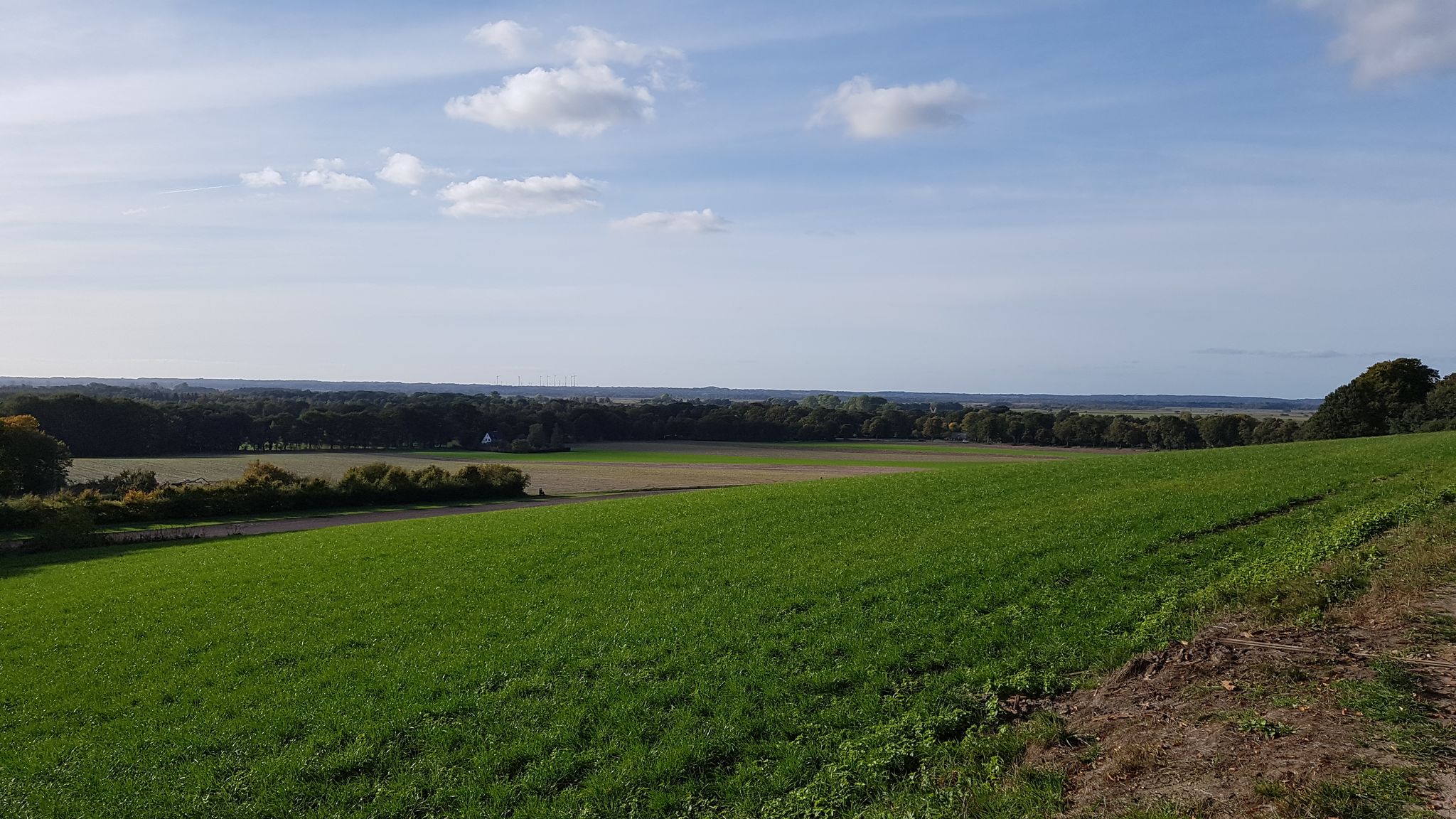 07.10.2018: Lisel-Oppel-Weg