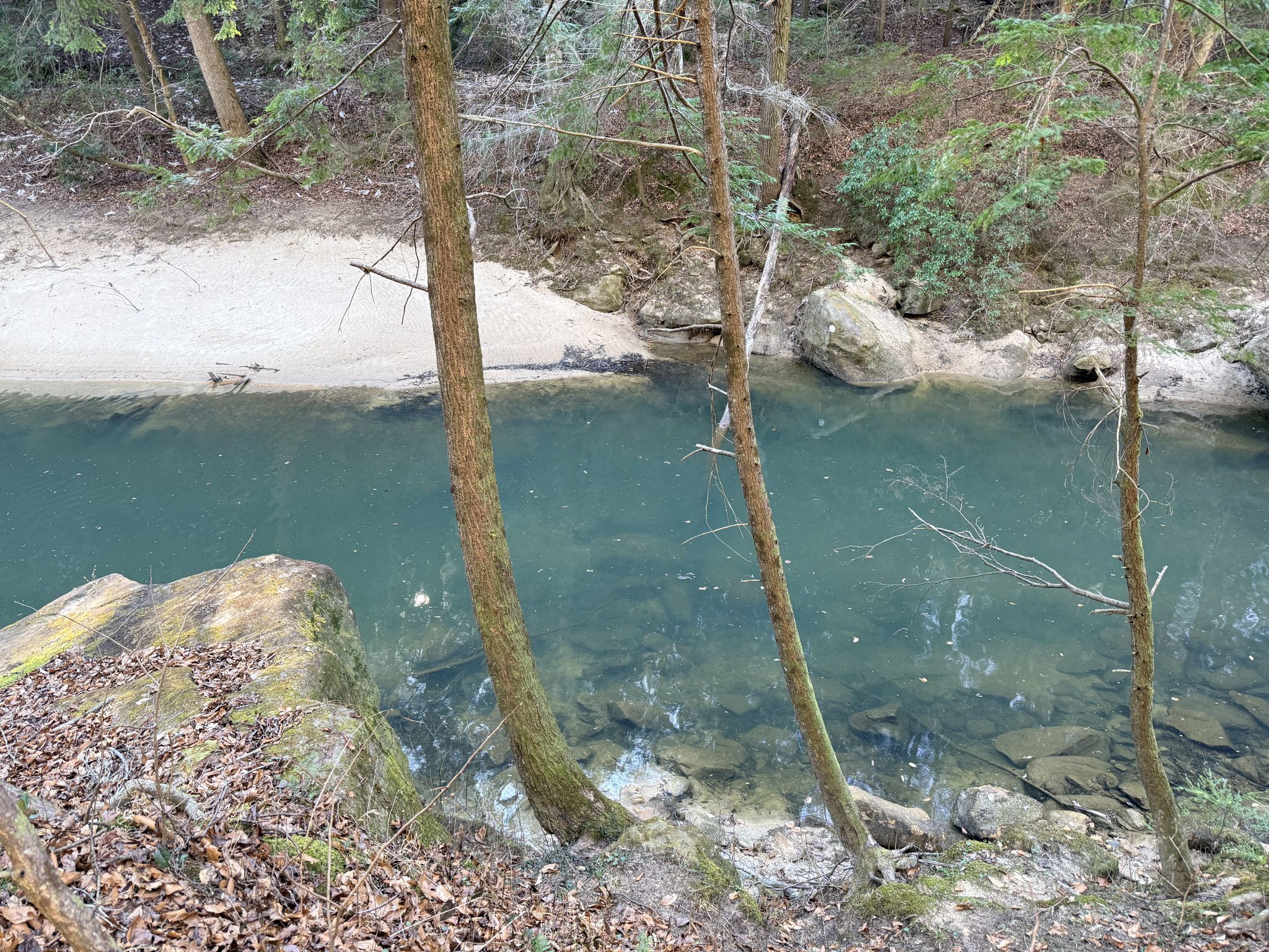 Clear stream flowing past sandy and rocky banks with trees. - Thompson Creek, Sipsey, Bunyan Hill, and Northwest Wild Horse Loop