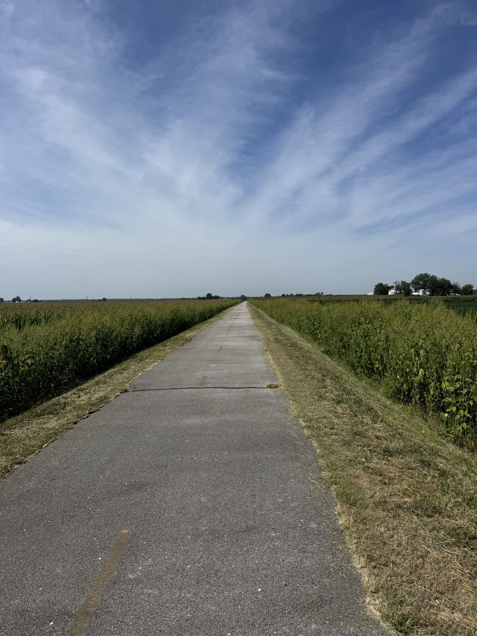 A straight paved path stretches through tall green crops under a blue sky. - MCT Heritage Trail – Marine Heritage Park loop from Southern Illinois University Edwardsville