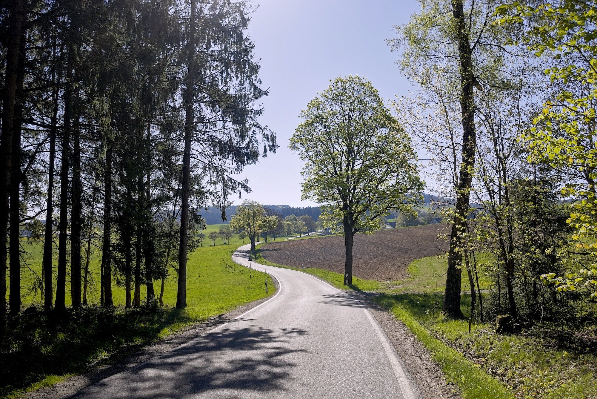 Geschlängel voraus und geht nahtlos über in den knackigen Teil des Anstiegs