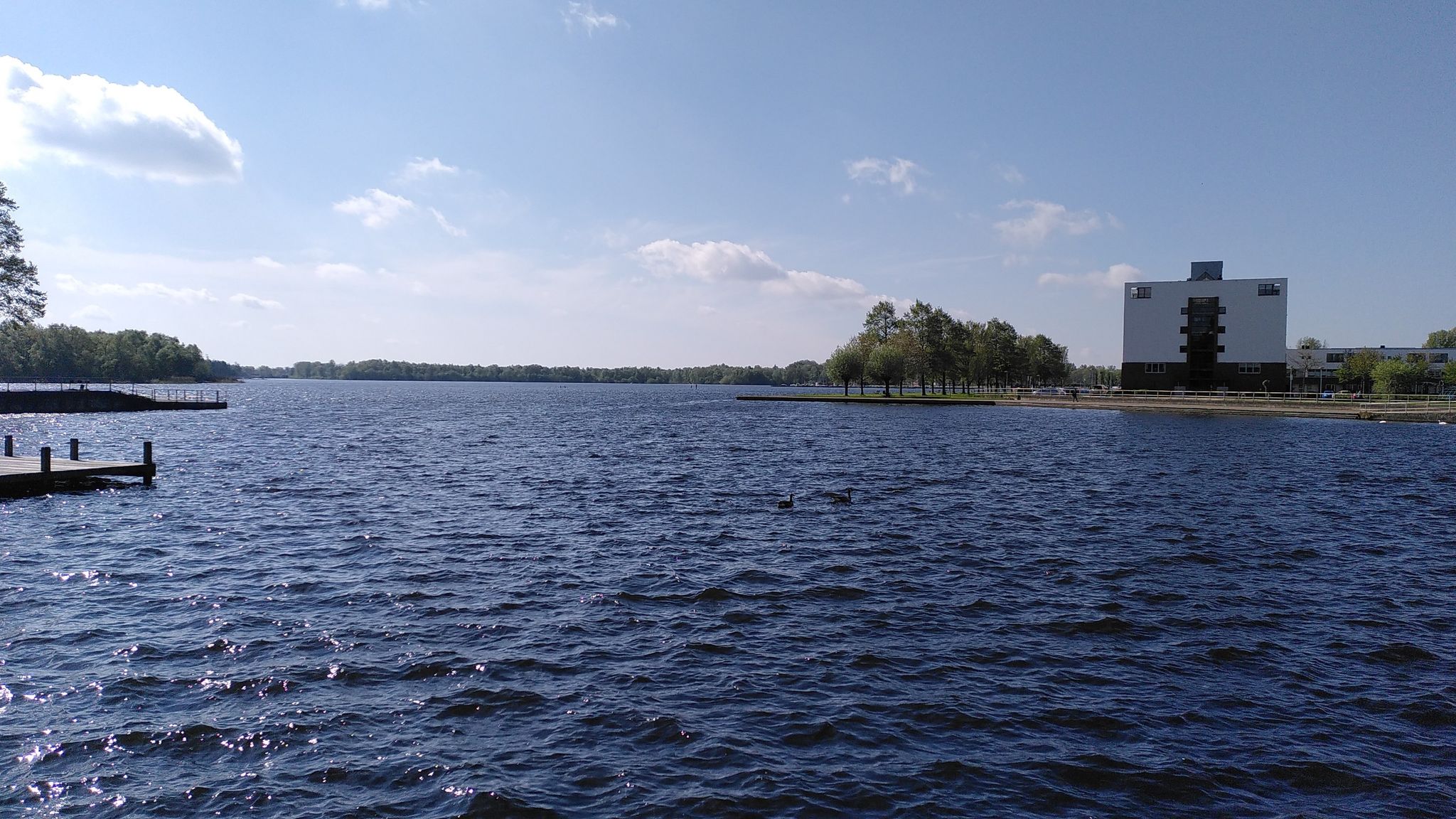 Paterswoldsemeer