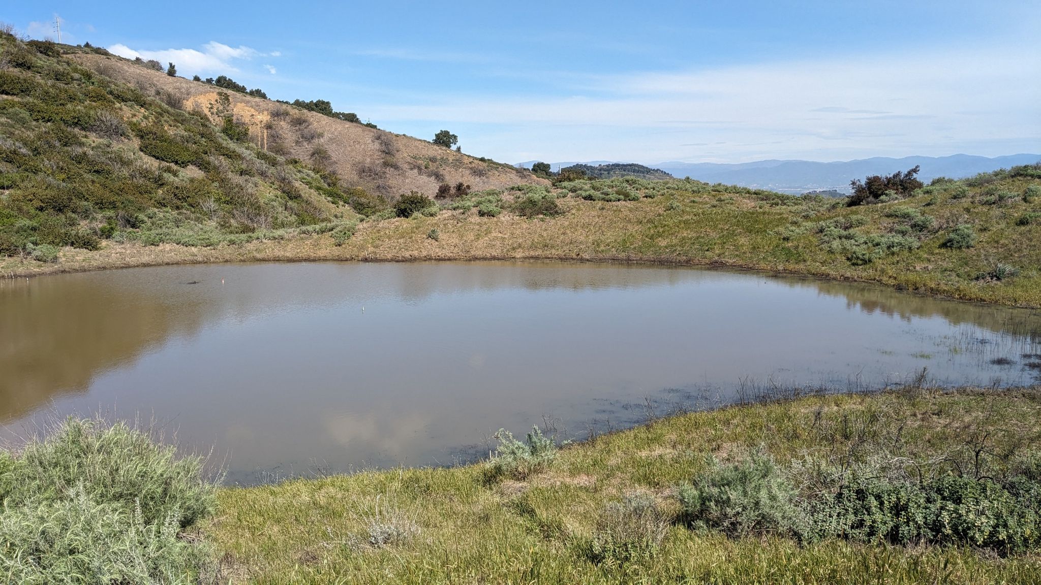 A calm pond surrounded by green and dry grasses, with hills in background. - Mission Point Loop