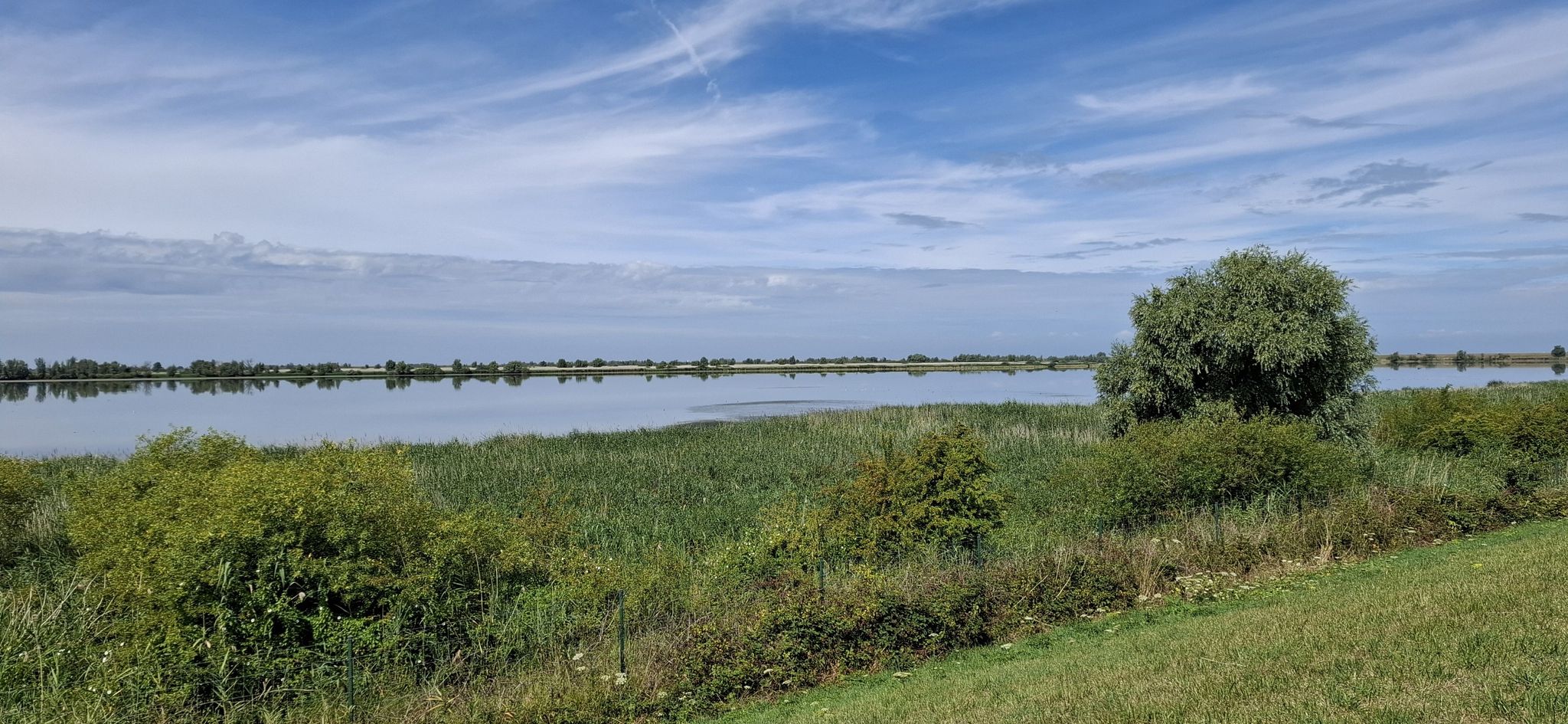 Naturschutzgebiet Oostvaardersplassen