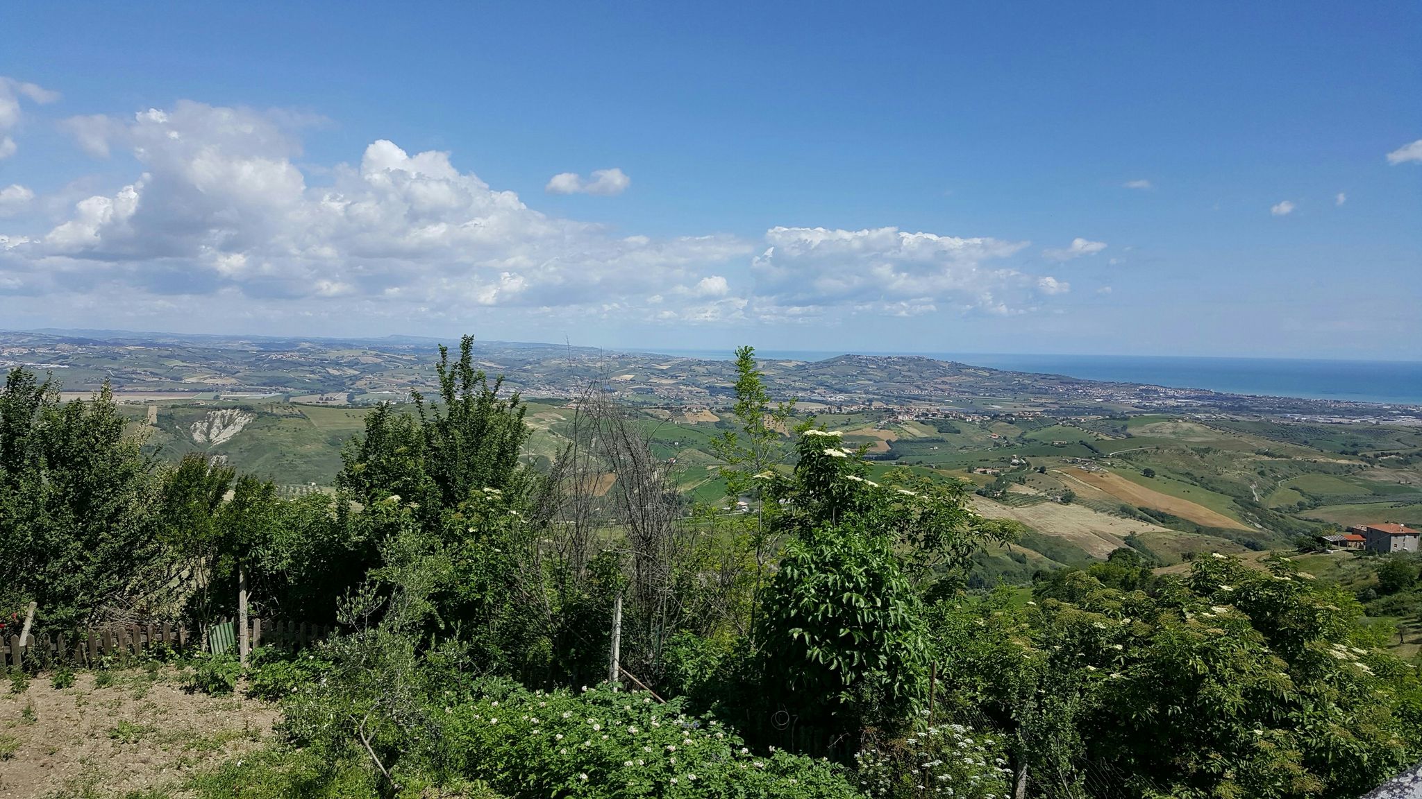 Atri