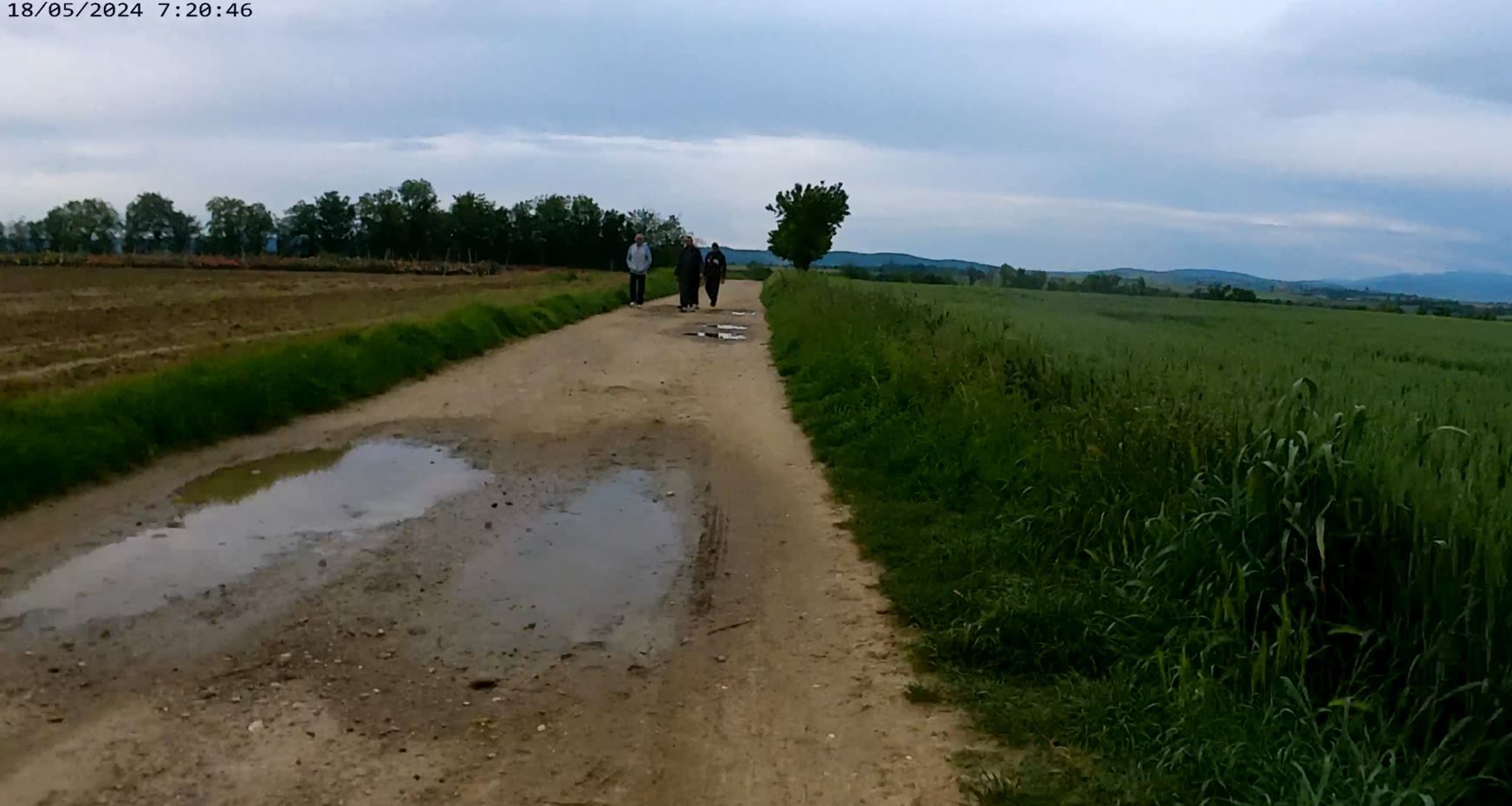 Pas le seul à en profiter avant la pluie^^