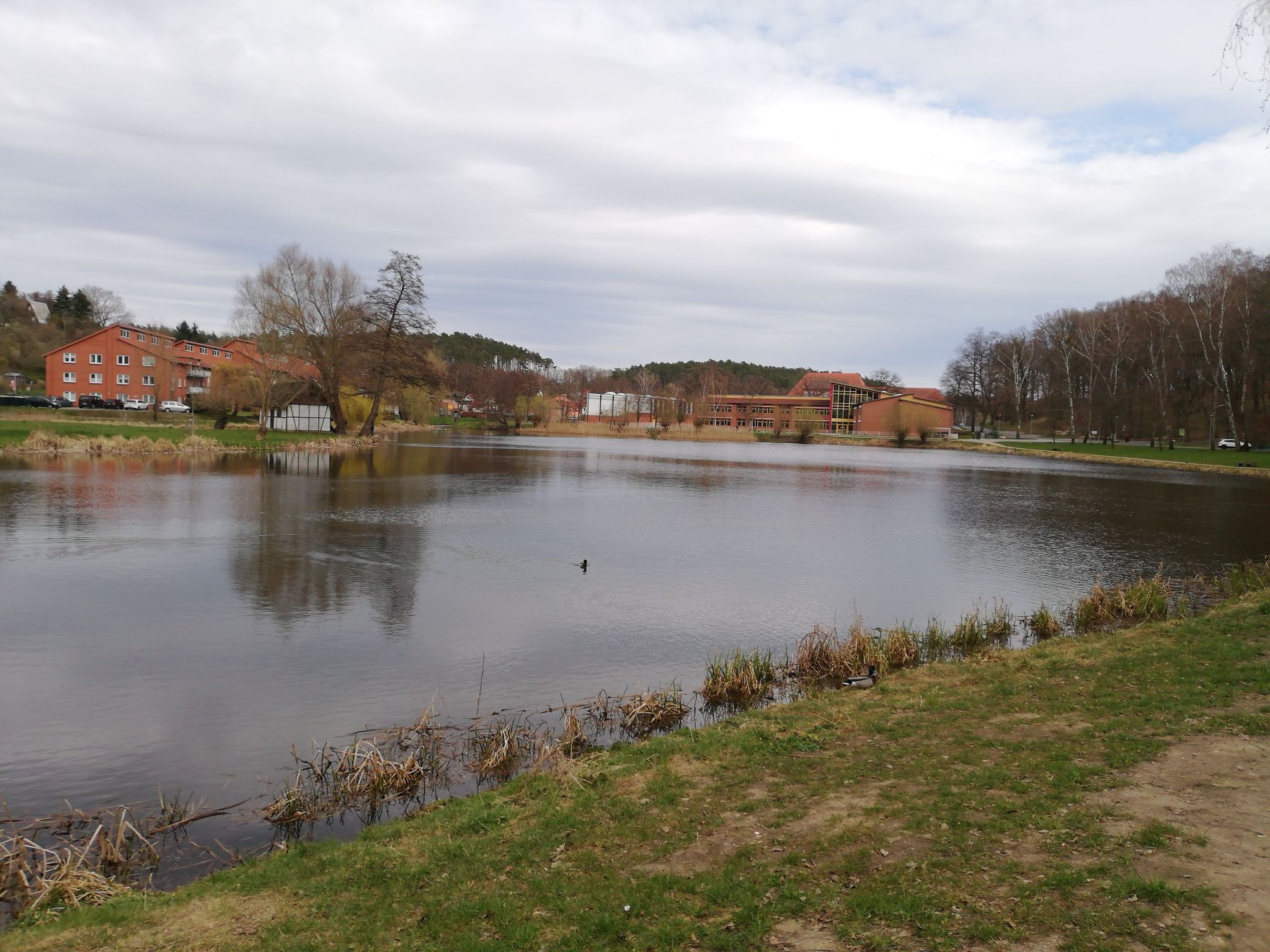 Mühlenteich