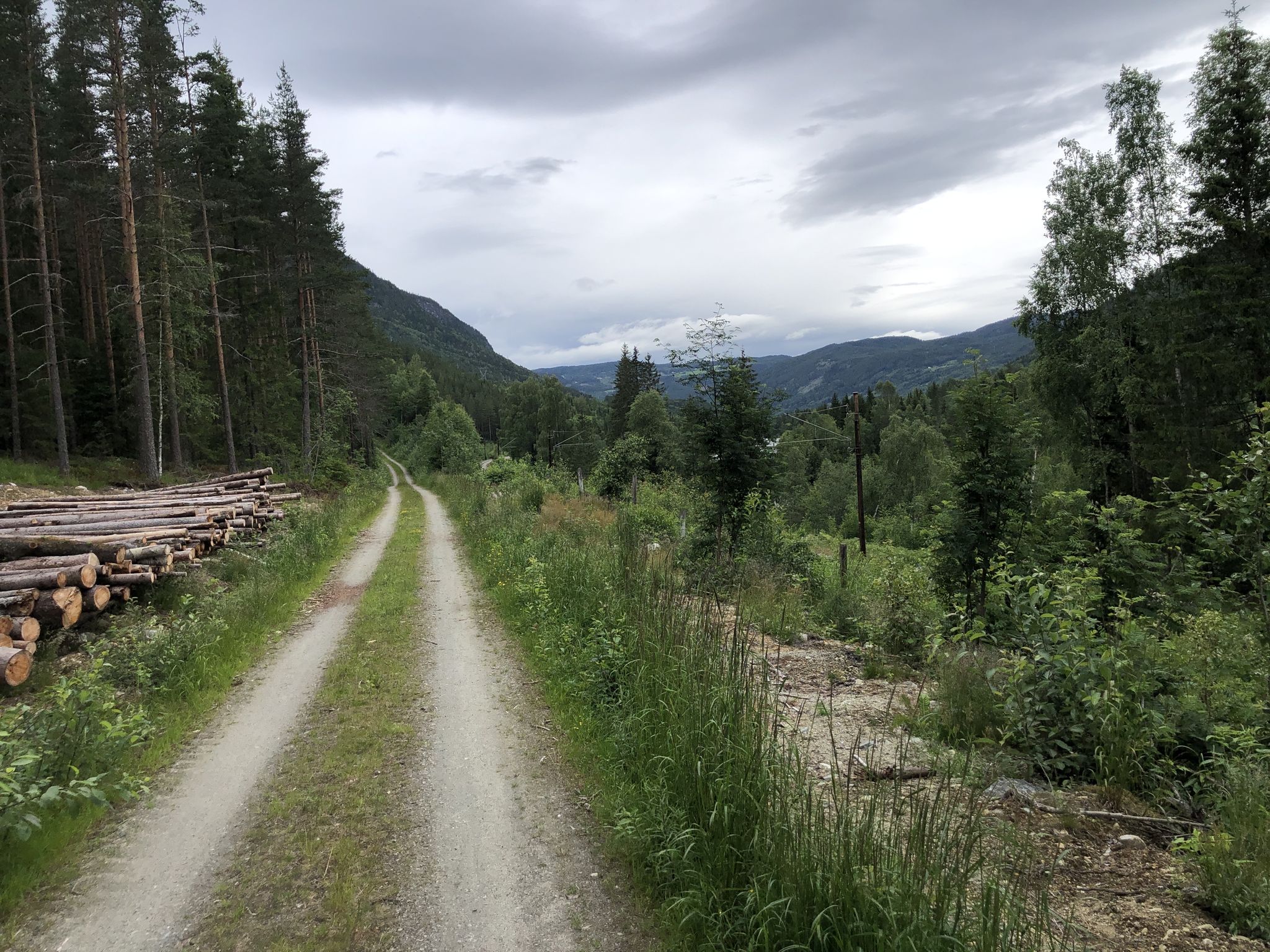 Im Wald