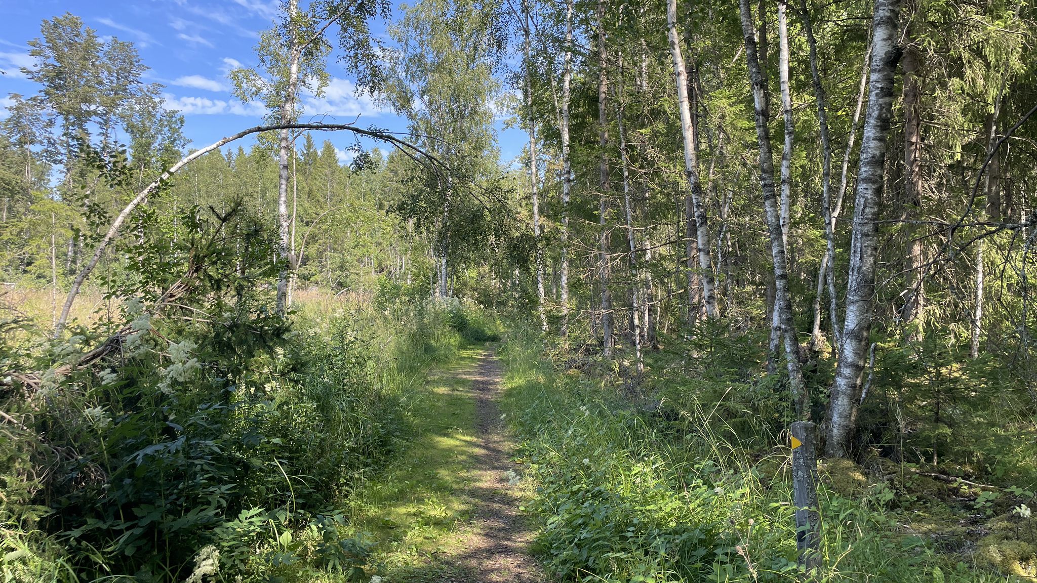 weiter auf dem Jällaleden