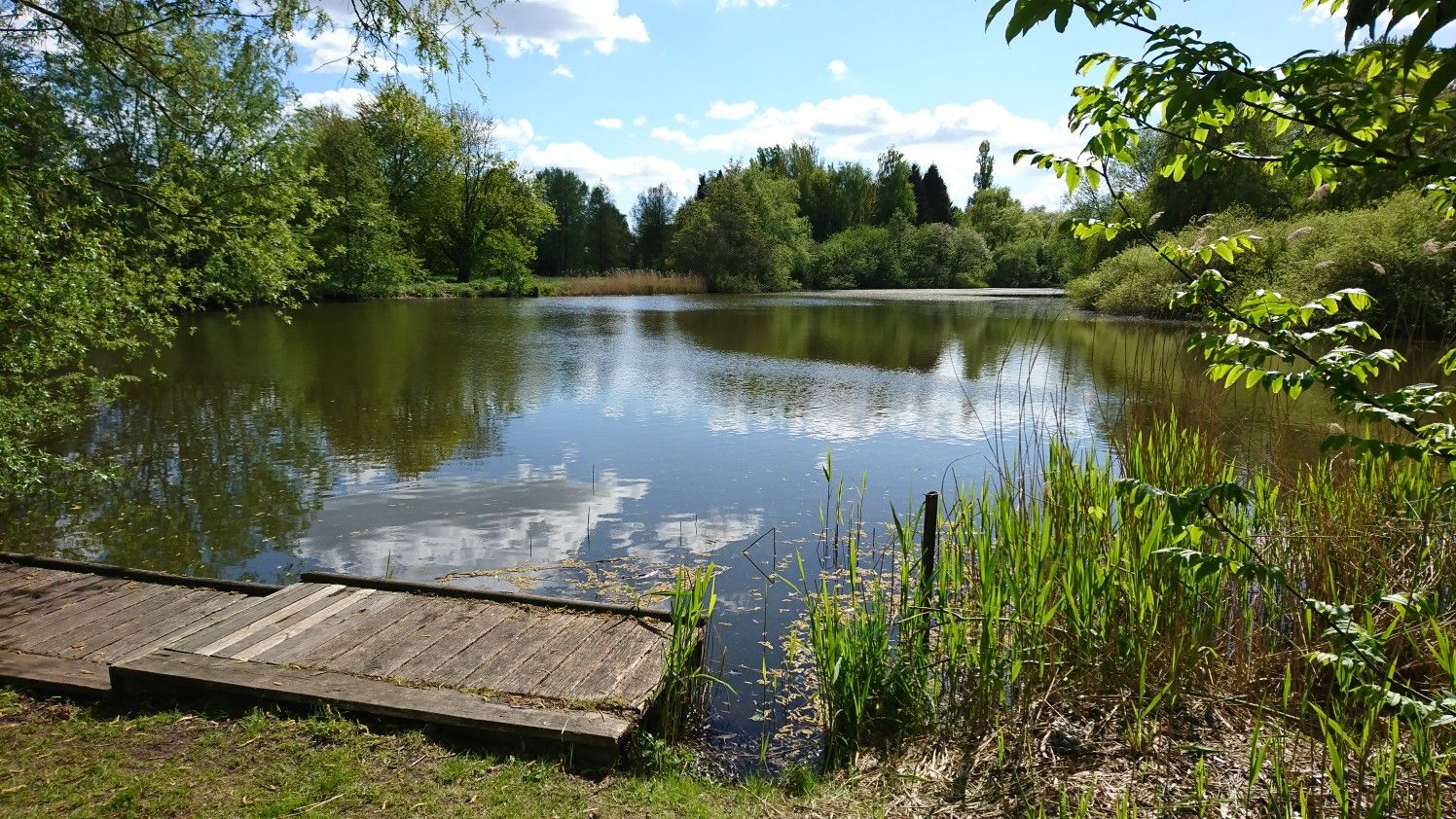 Moorwischsee