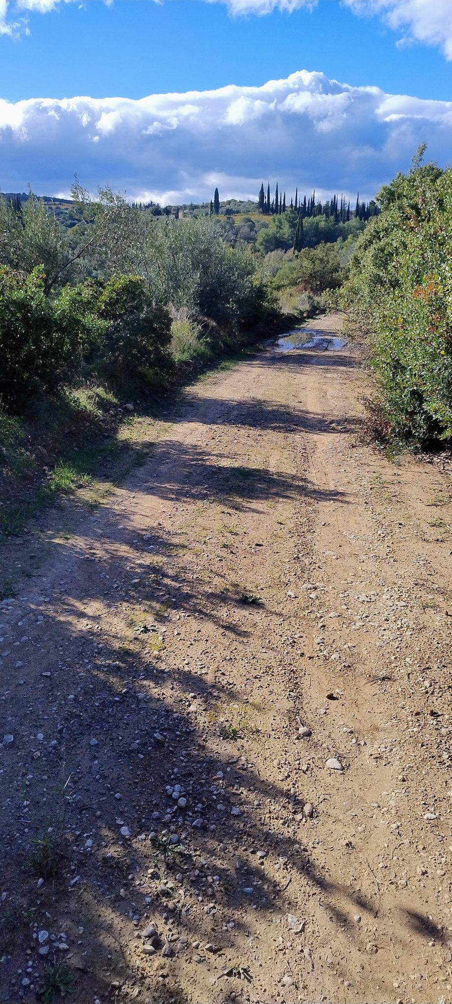 If you like cyclo cross this is where you need to be...