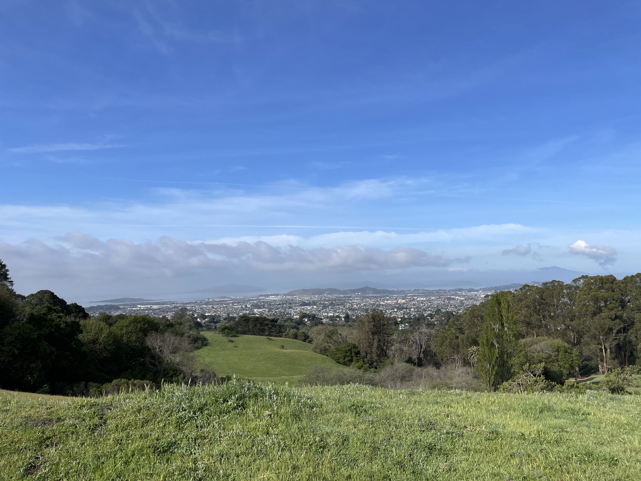 Green hills and trees overlook a city with a cloudy horizon. - Alvarado Park – 360-degree viewpoint loop from East Richmond Heights
