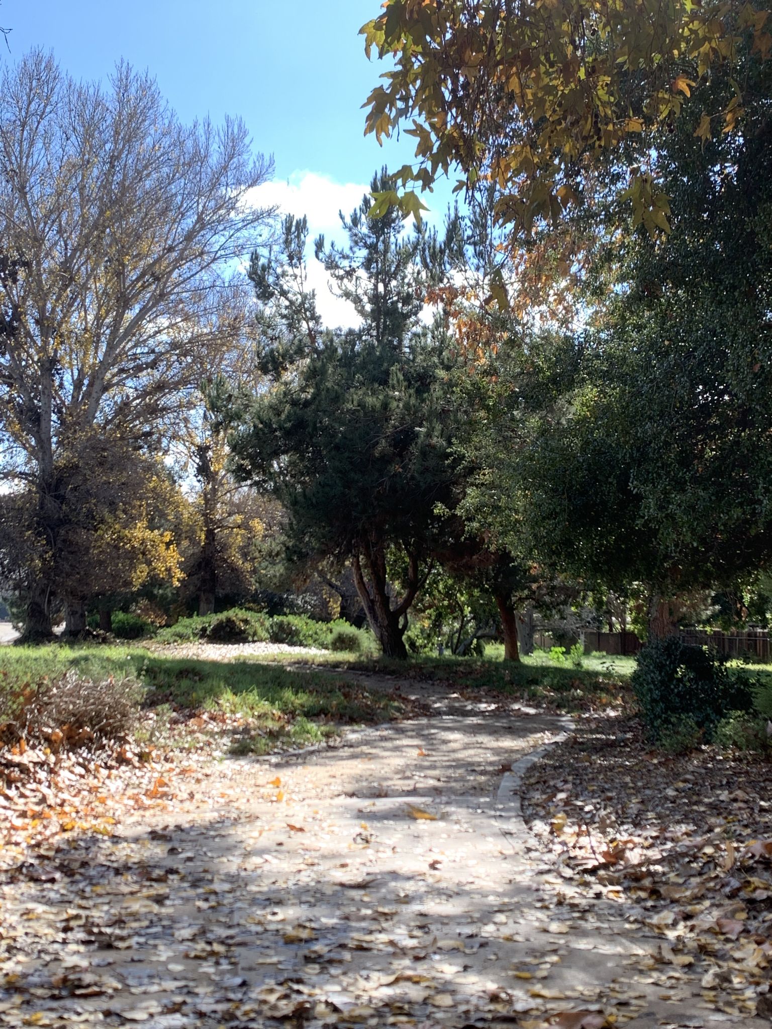 Native plants trail!