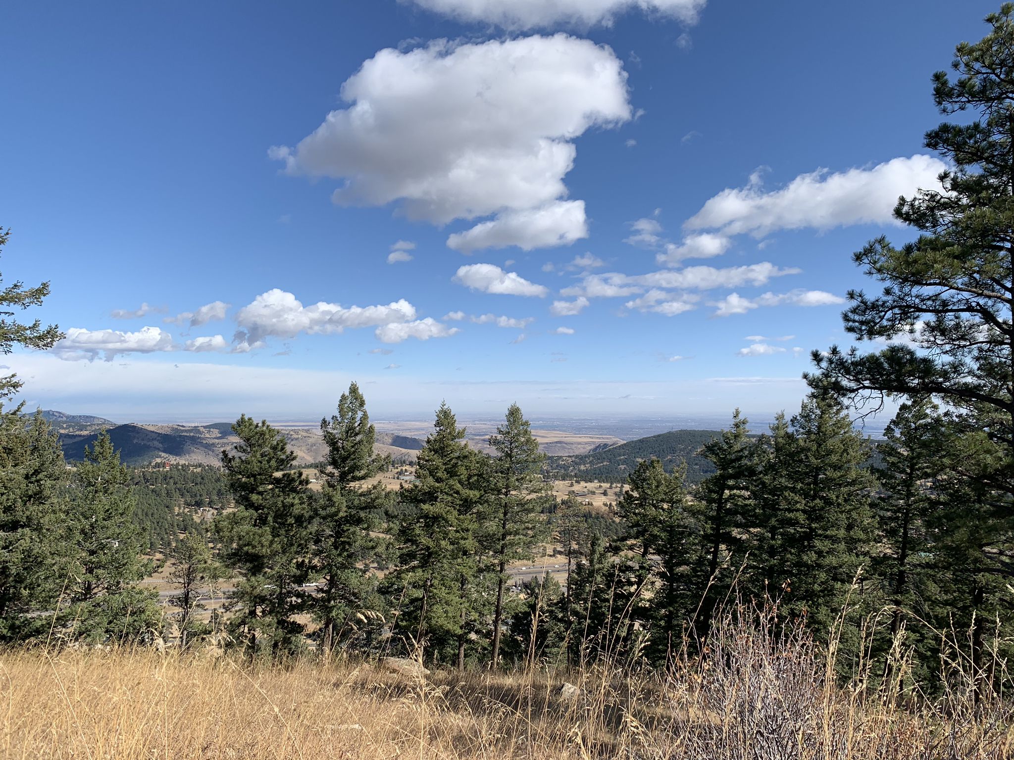 Sunny view of pine trees and distant hills under a partly cloudy sky. - Genesee Summit Trail