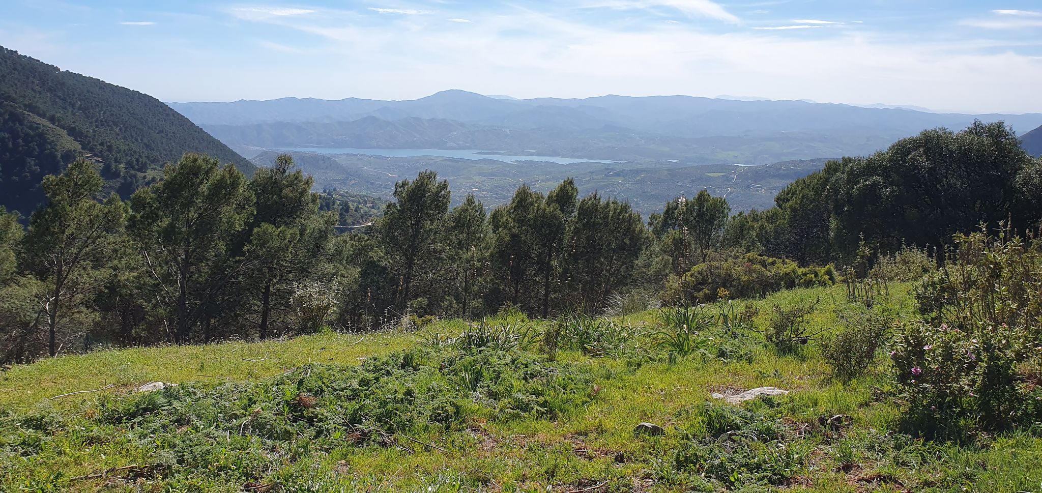 Aussicht vom Camino de los Colmenares