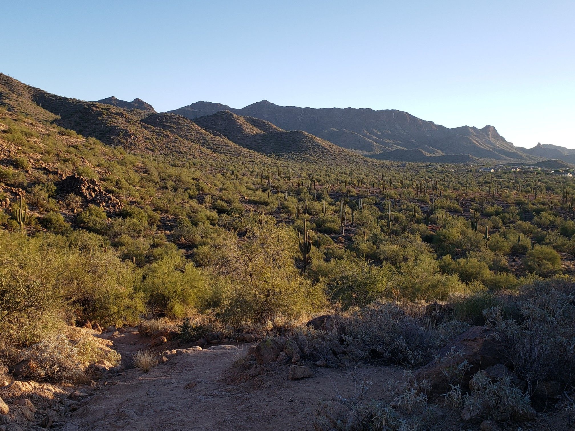 Desert mountains and hills covered in green shrubs and cacti under clear sky. - South Cats Peak via Channel Trail Loop