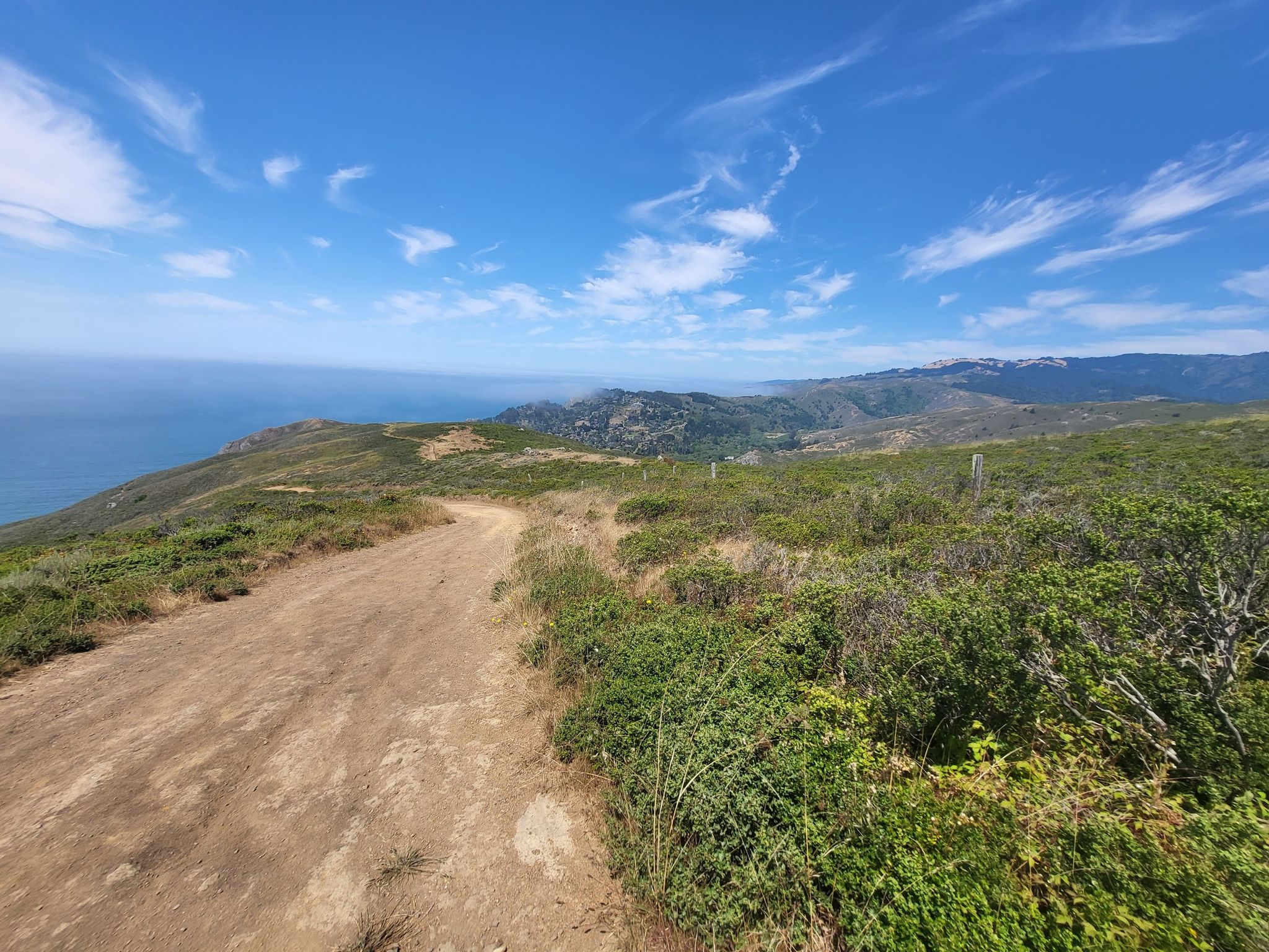 A dirt path winds along a sunny coastal hillside overlooking the ocean. - Green Gulch Loop