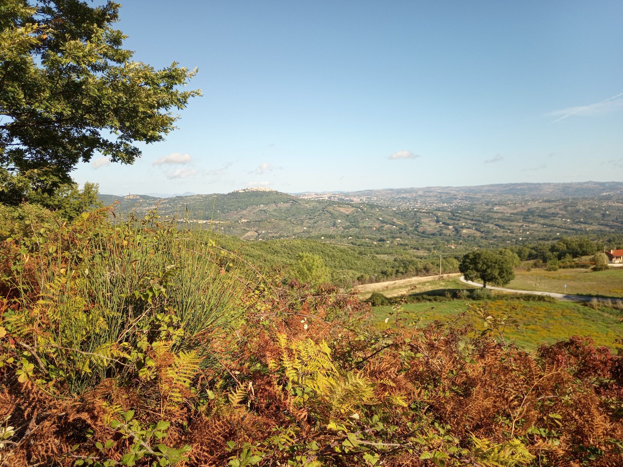 Campobasso