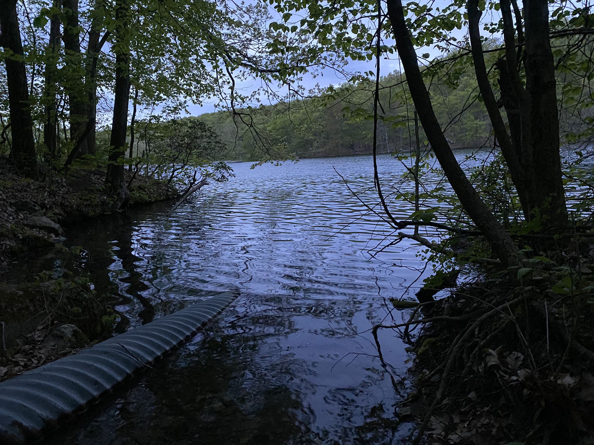 Dark lake with a corrugated pipe extending into the water from a forested shore. - Notch Trail to Melzingah Reservoir loop