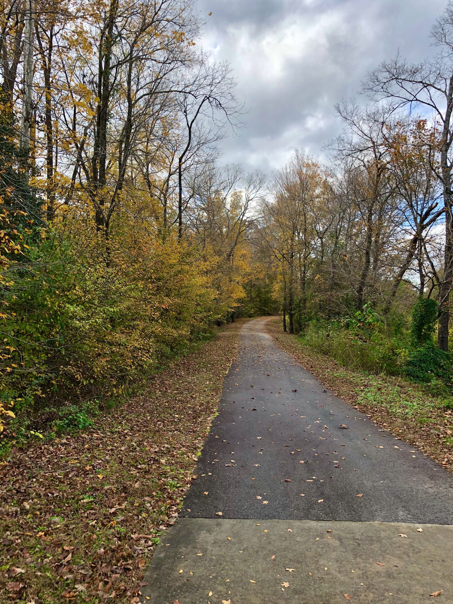 Paved path winding through a forest with autumn foliage under an overcast sky. - Neuse River Greenway Trail