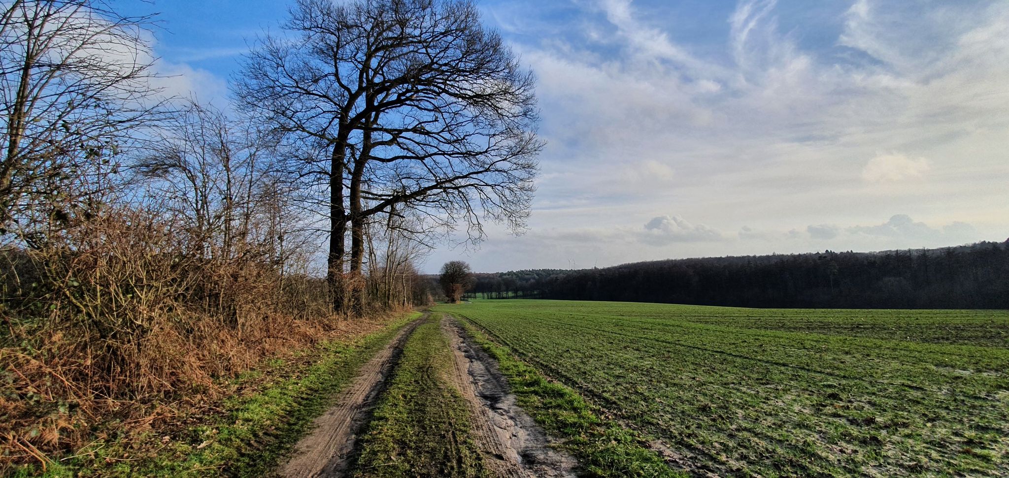 ... weils so schön ist (und der erste sonnige Tag nach gefühlt Wochen)