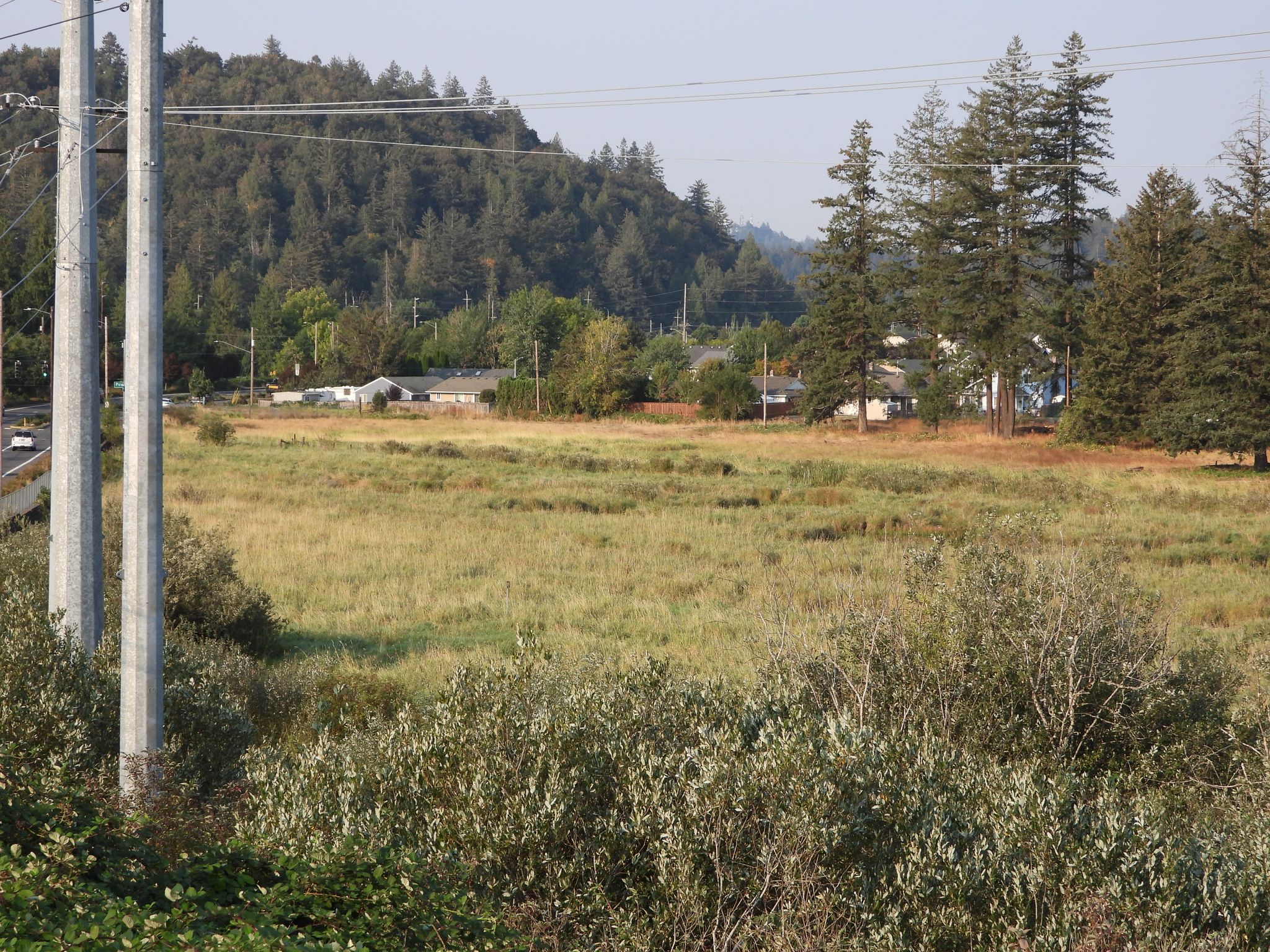 A large grassy field with utility poles, houses, and forested hills in daylight. - Gresham-Fairview Trail