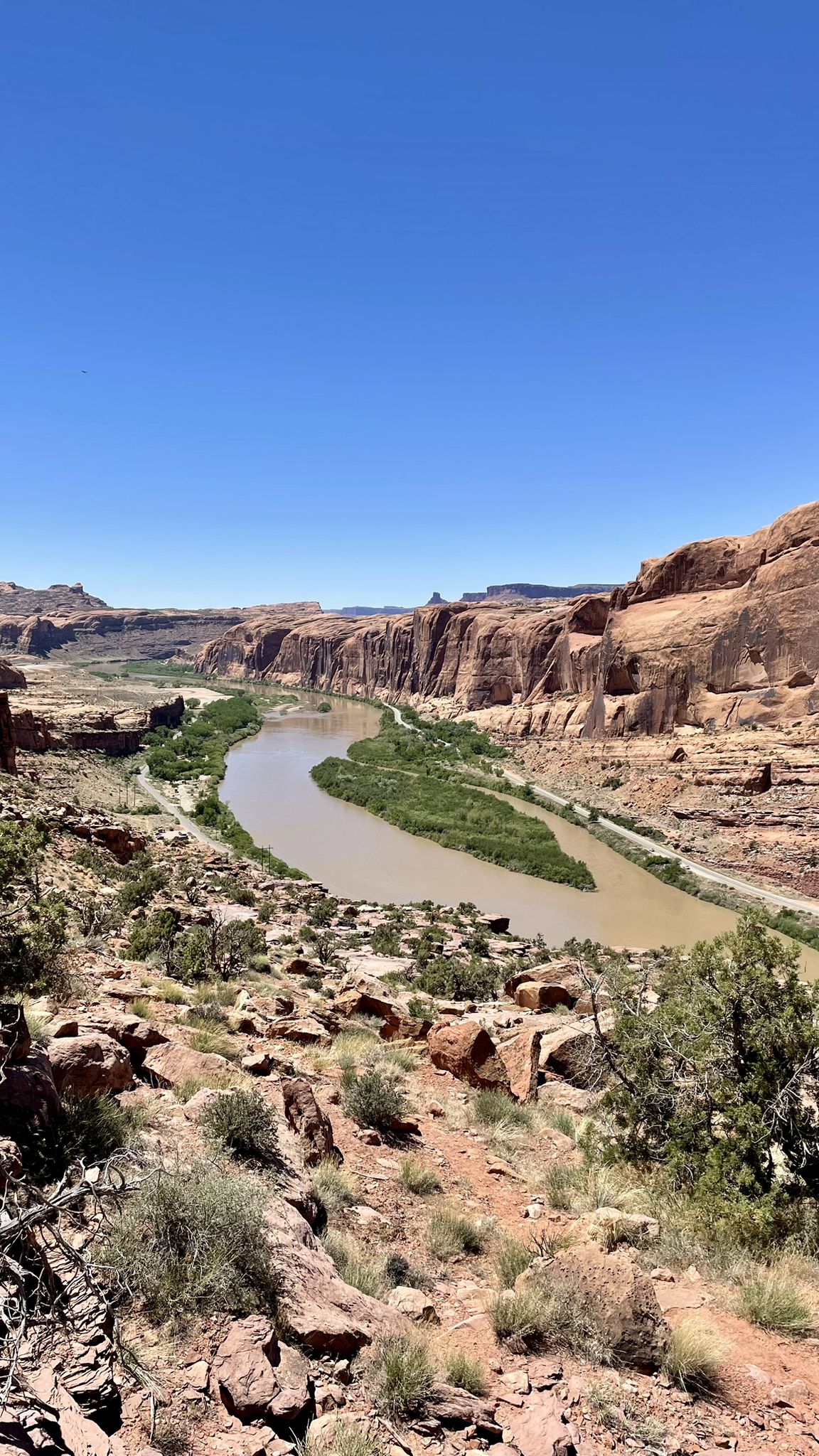 A wide river winds through a vast red rock canyon on a clear day. - The Stairmaster loop from Scott Matheson Wetlands Preserve