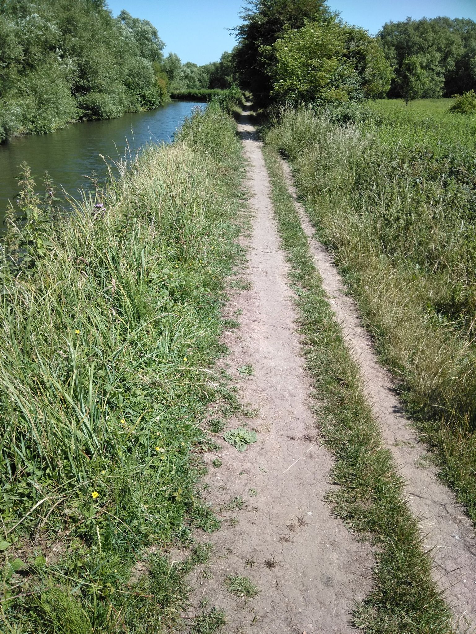 All rideable
