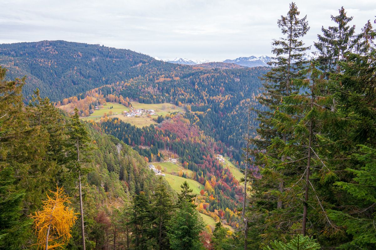 Gfrill im Herbst