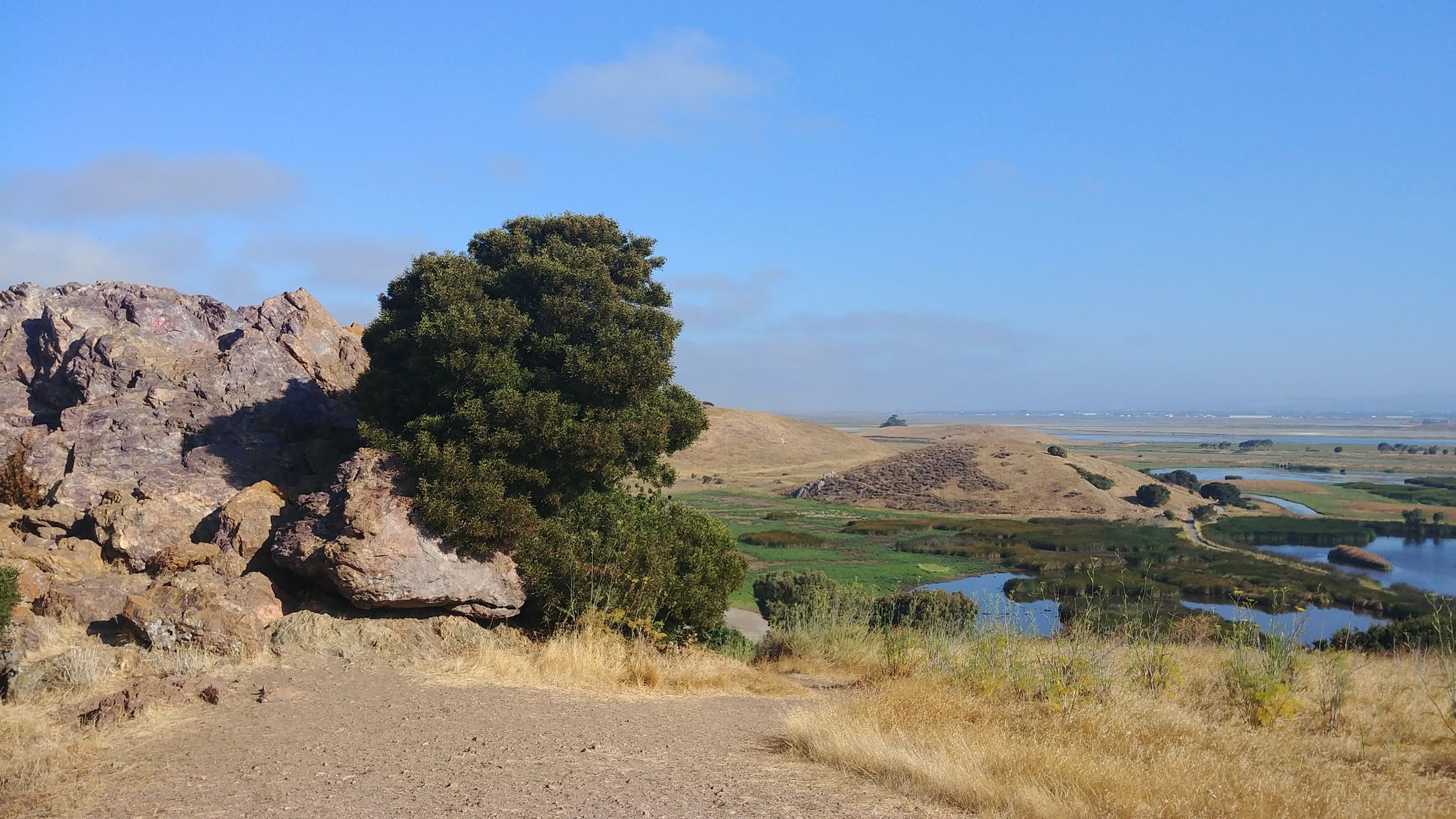 Rocky outcrop and tree overlooking wetlands and distant hills under blue sky. - Coyote Hills Regional Park – Red Hill Viewpoint loop from Coyote Hills Regional Park