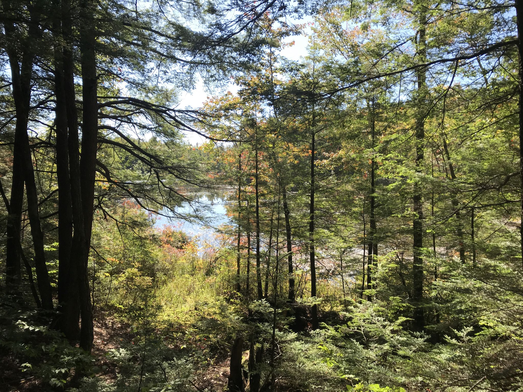 Sunny forest view of a calm lake through green and autumn-colored trees. - Mount Pisgah via Parker Trail