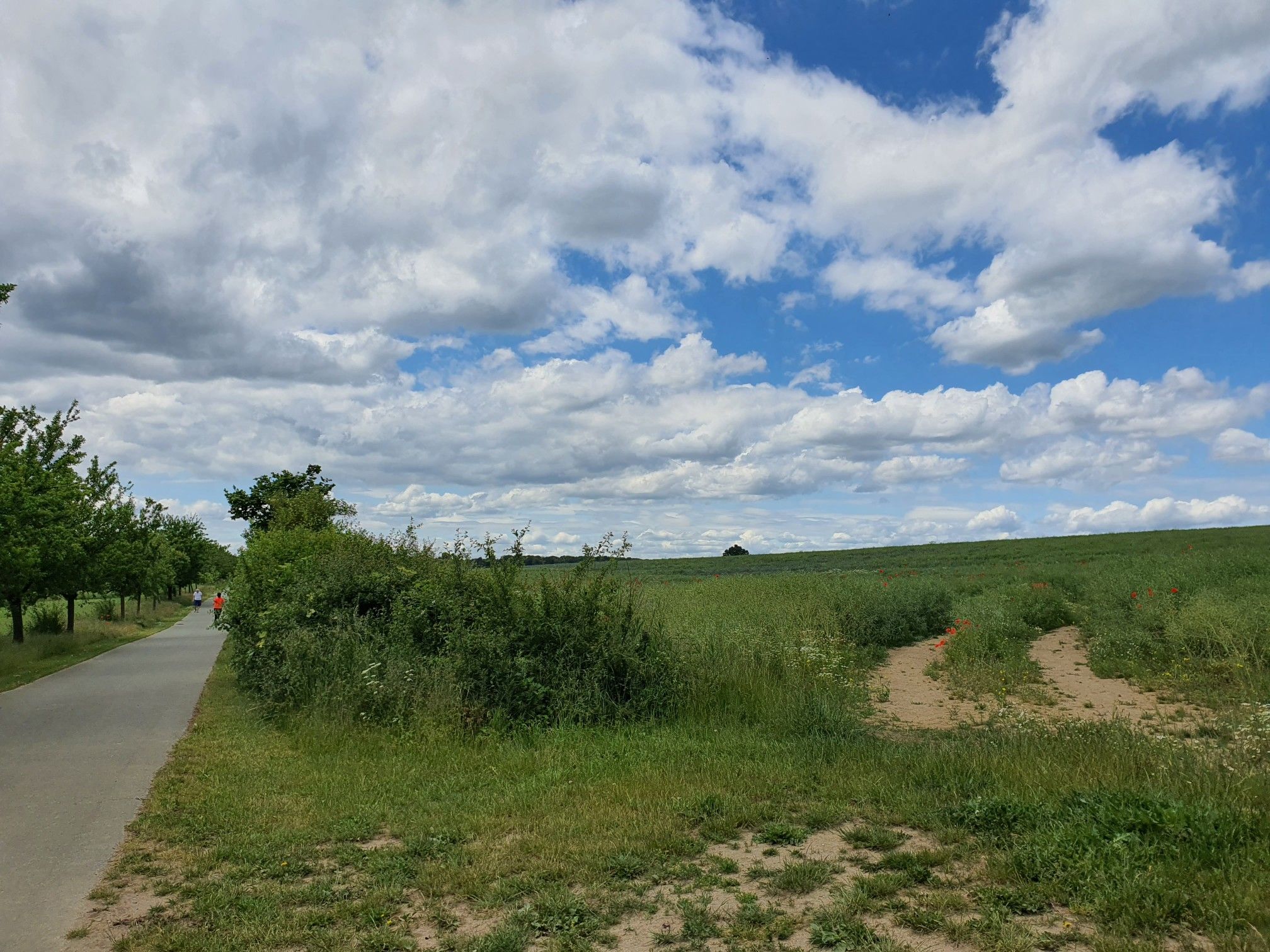 sehr schöner Radweg, für Kfz gesperrt