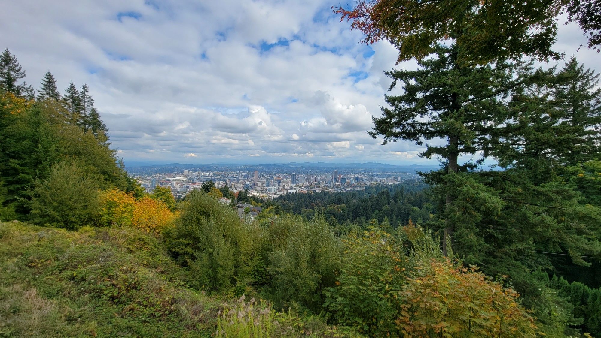Panoramic city view through green and yellow trees under a cloudy sky. - Pittock Mansion via Wildwood Trail
