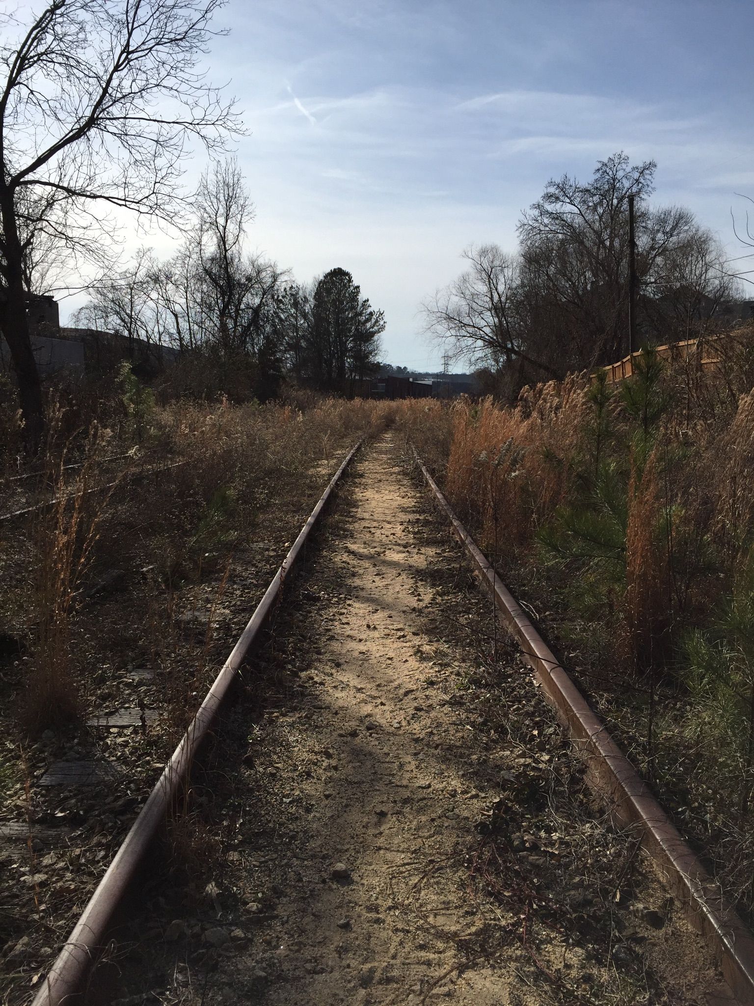 Overgrown train tracks stretch into the distance under a cloudy sky. - Grant Park – Best End Brewing Co. loop from West Lake
